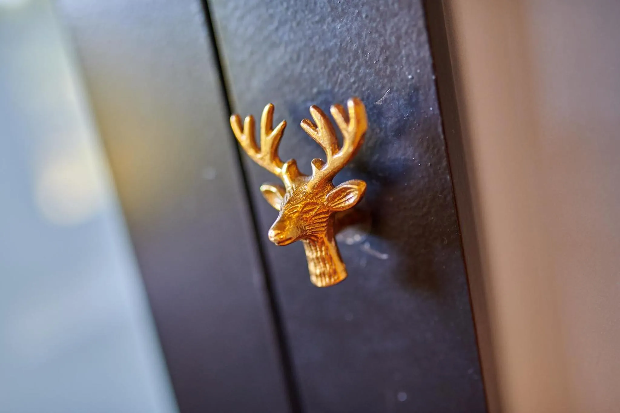 Decorative detail in BEL AIR MAISON D'HOTES DES LANDES