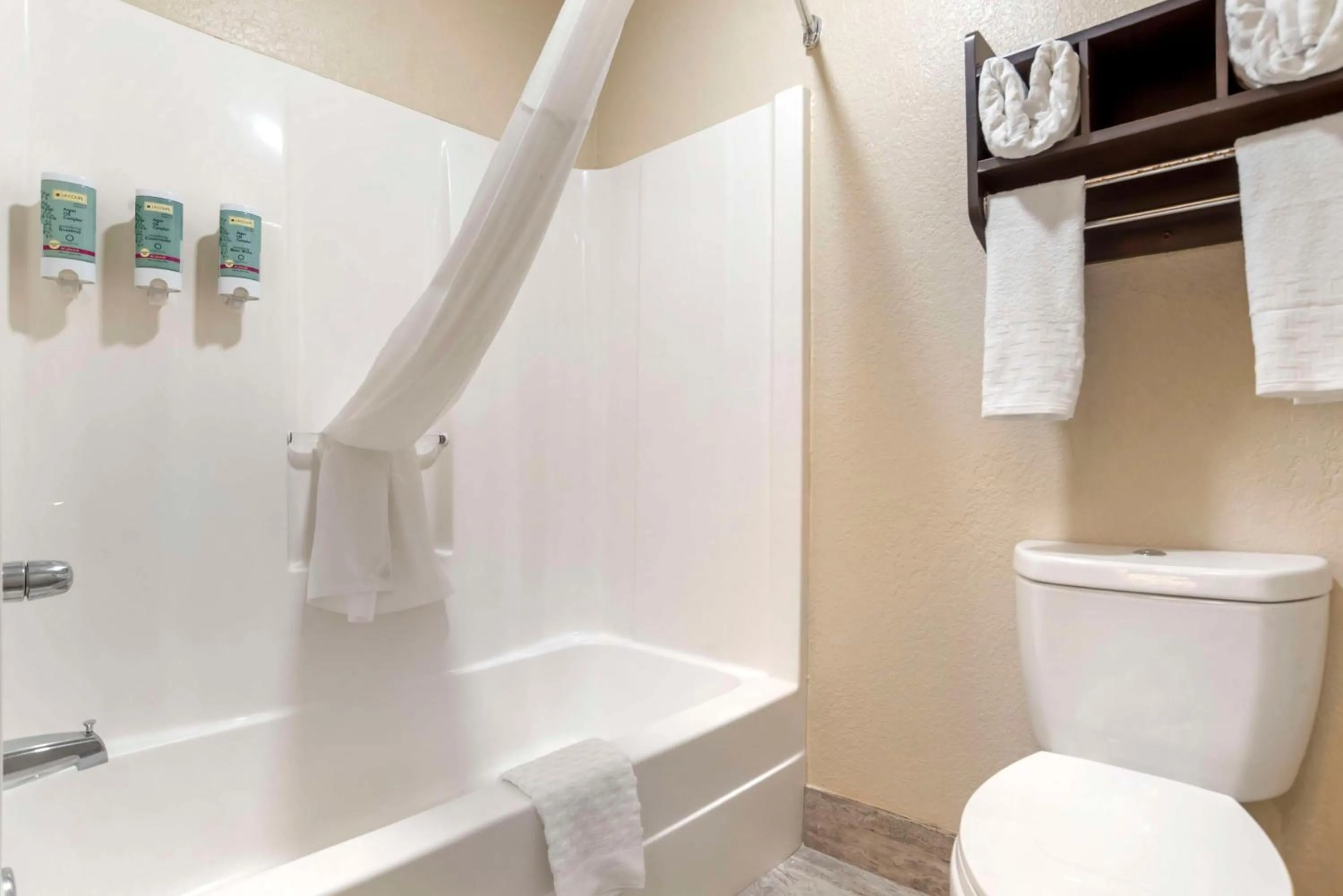 Bathroom in Best Western Gardendale