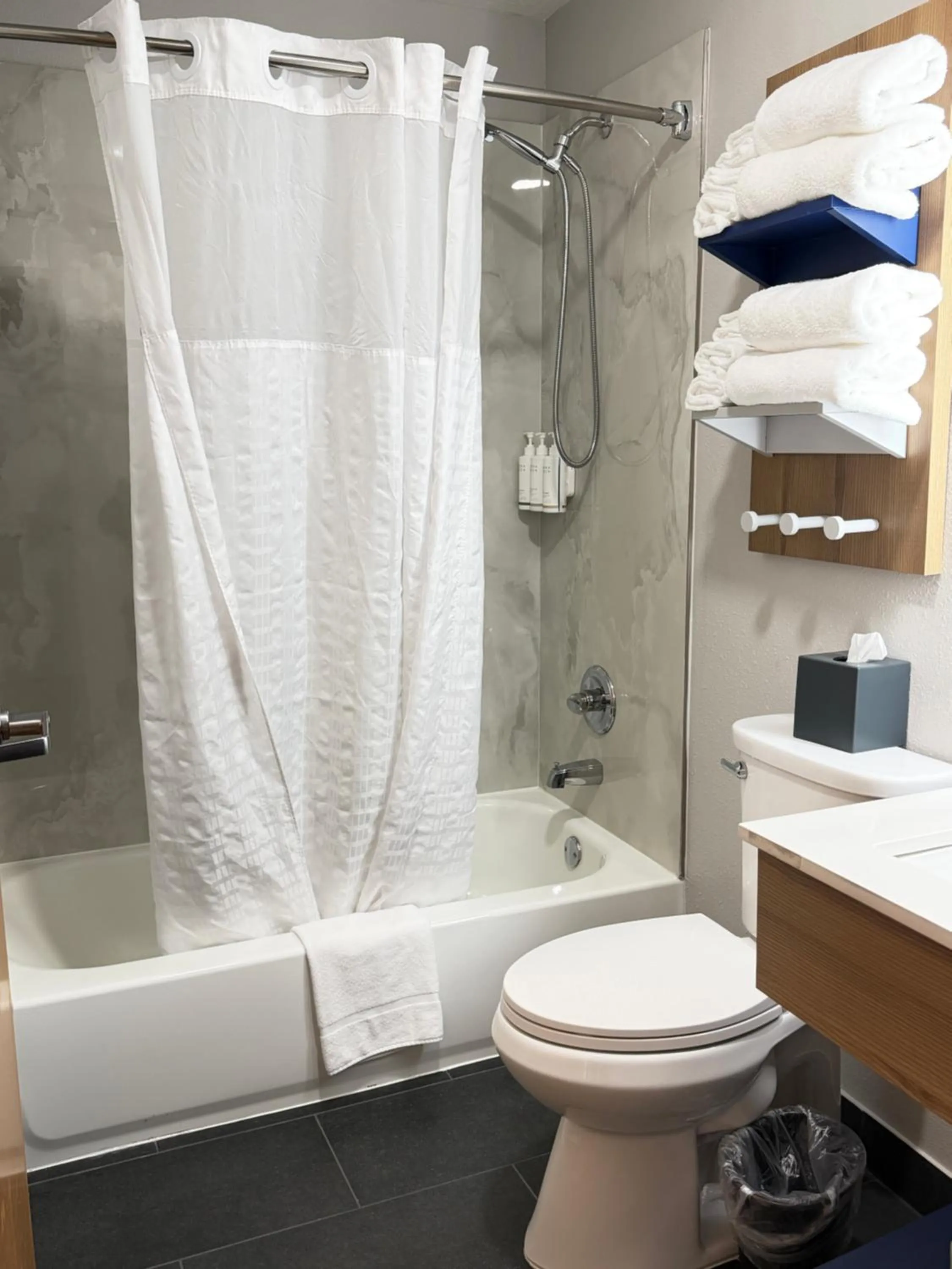 Bathroom in Microtel Inn & Suites by Wyndham Culpeper