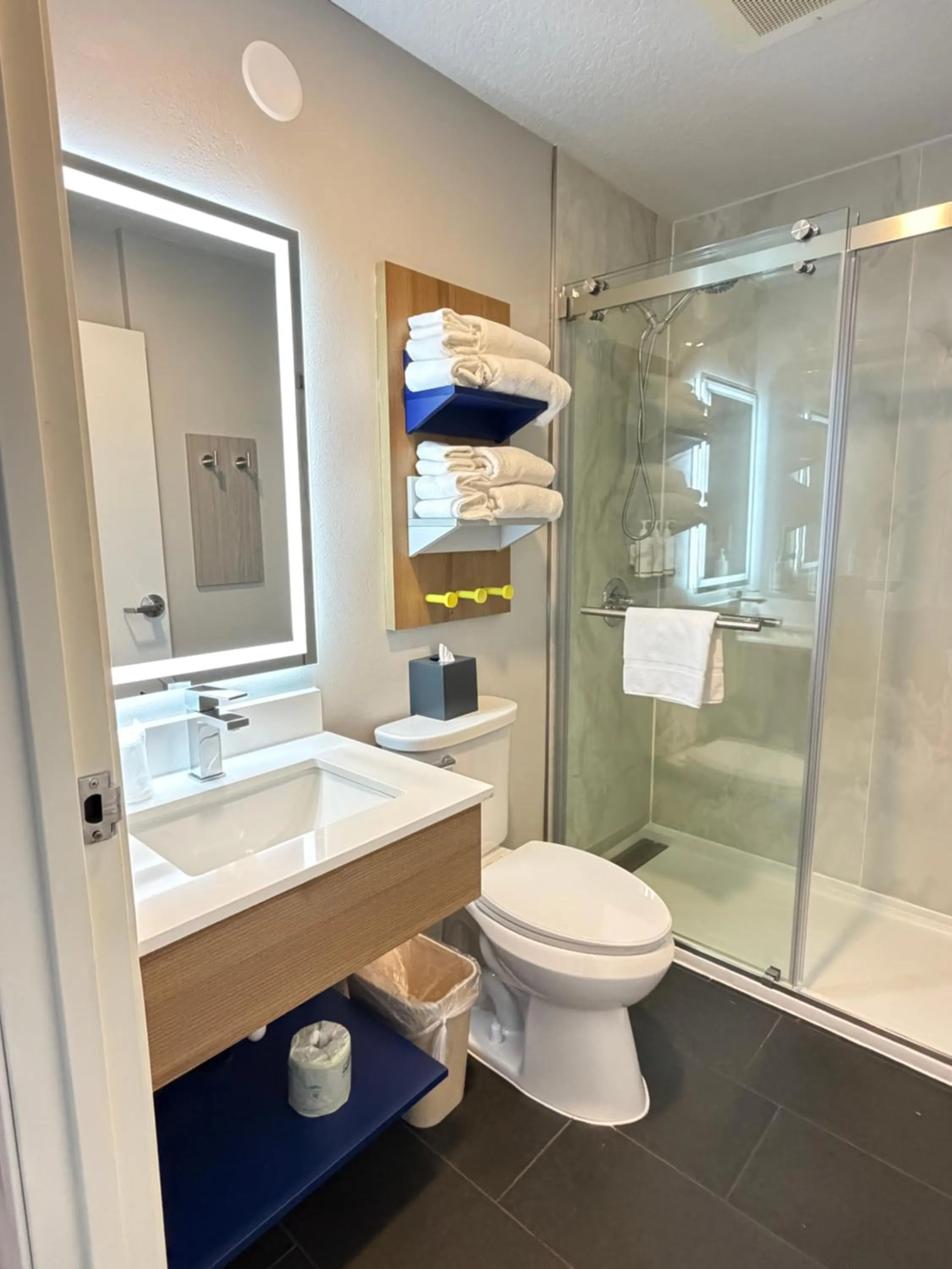 Bathroom in Microtel Inn & Suites by Wyndham Culpeper