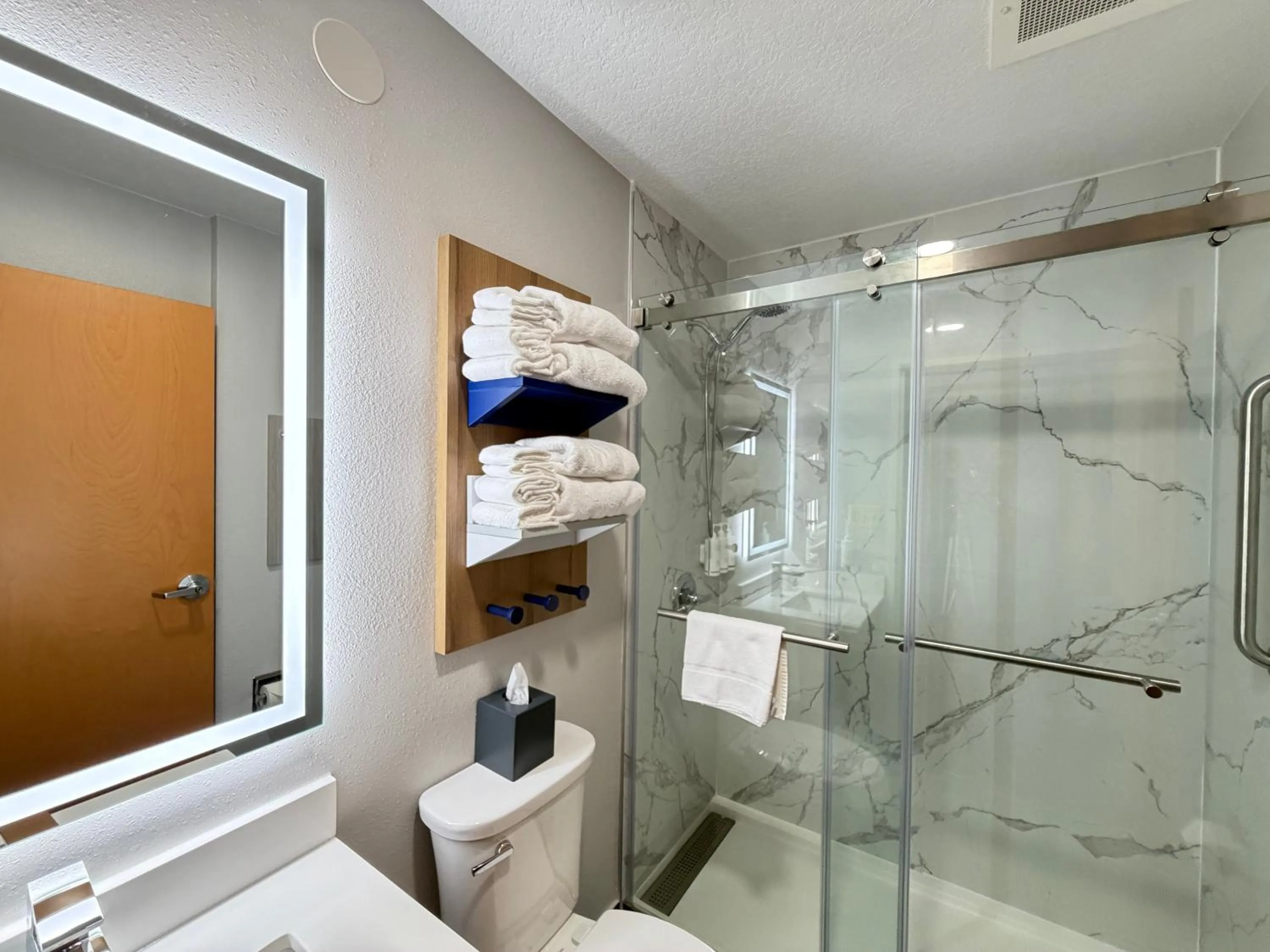 Bathroom in Microtel Inn & Suites by Wyndham Culpeper