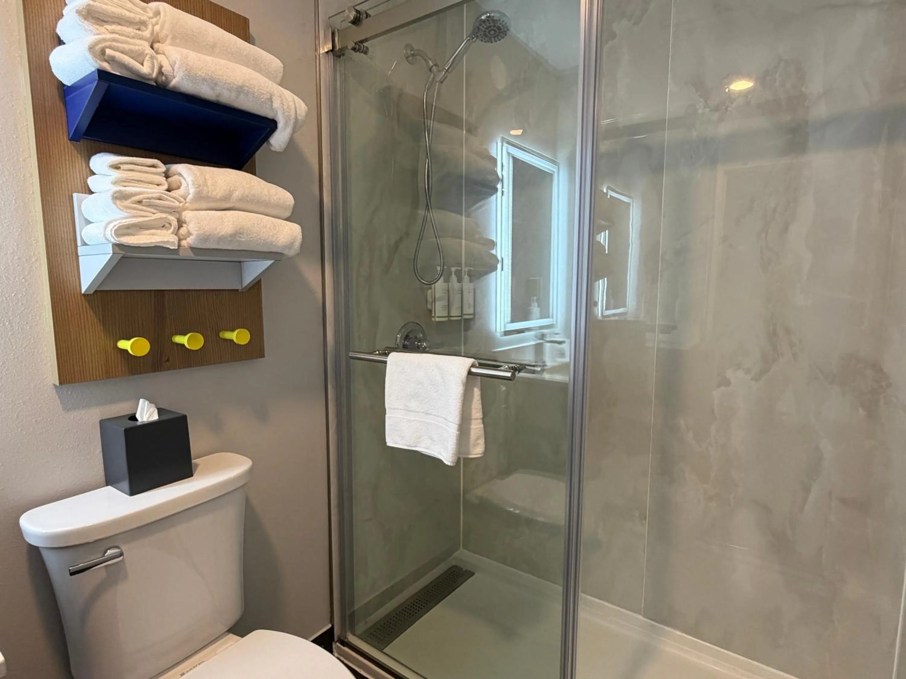 Shower in Microtel Inn & Suites by Wyndham Culpeper