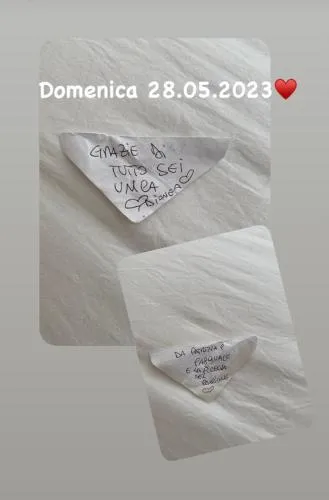B&B Dionea
