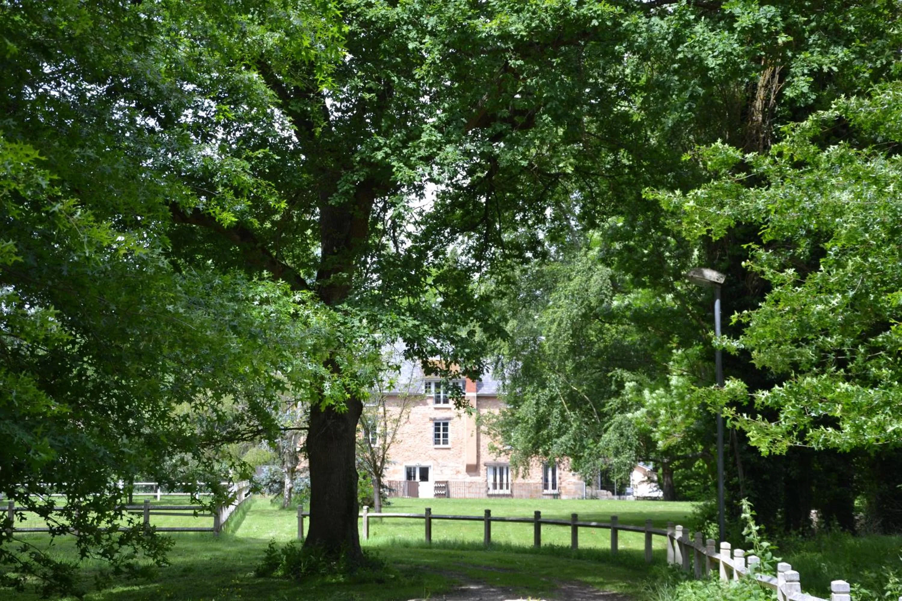 Garden in Le Moulin Bleu