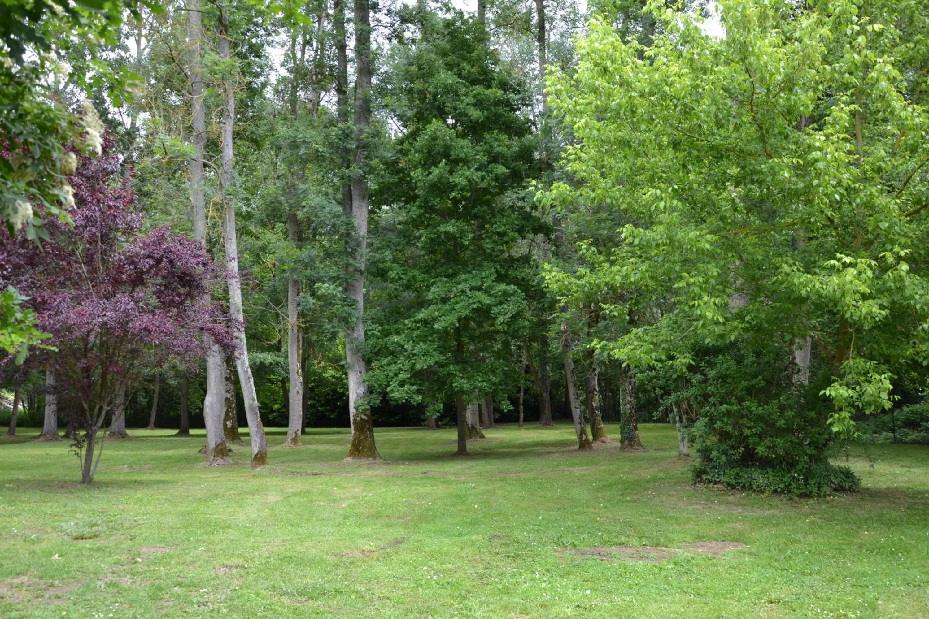 Garden view in Le Moulin Bleu