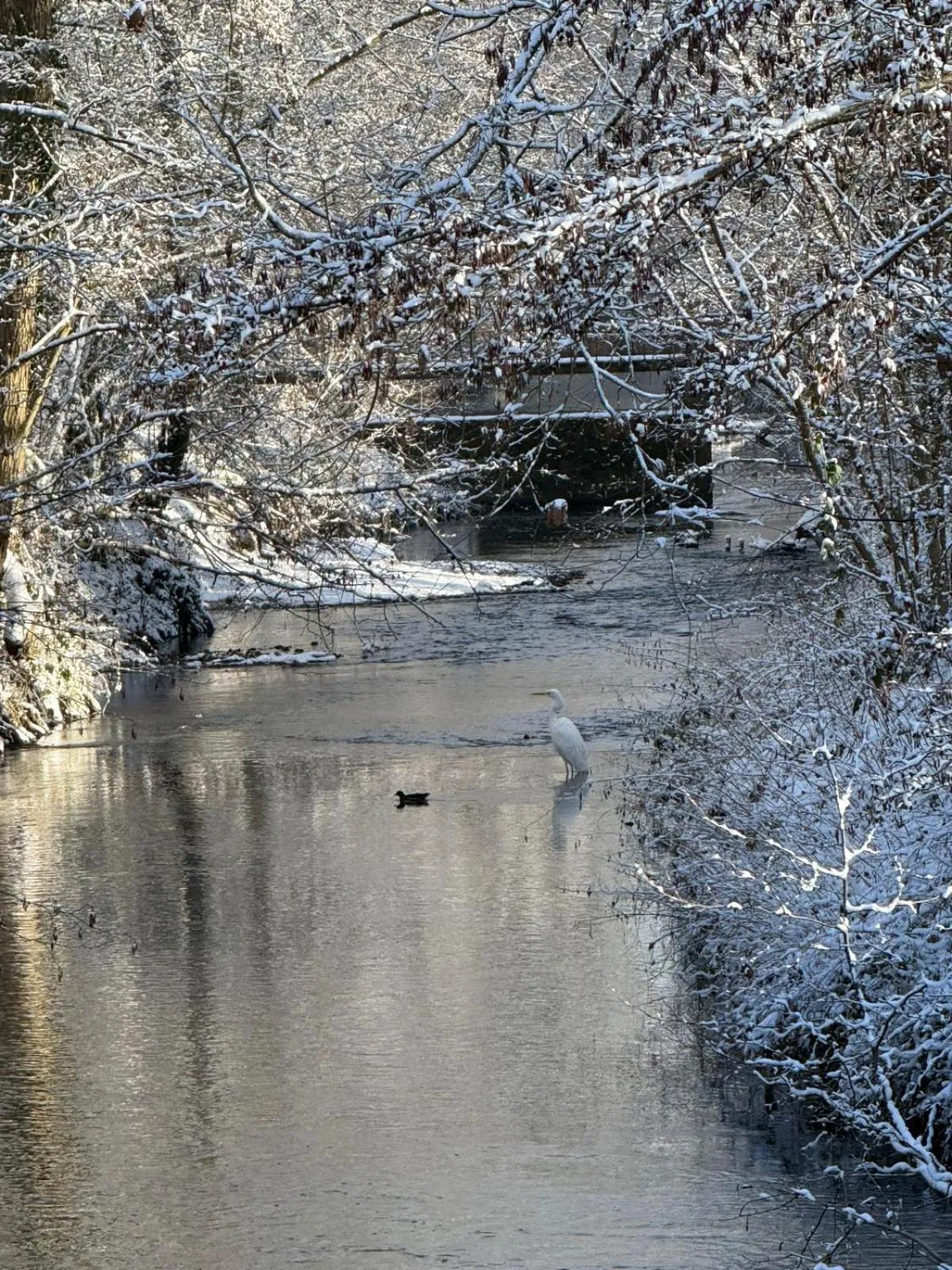 Natural landscape in Le Moulin Bleu