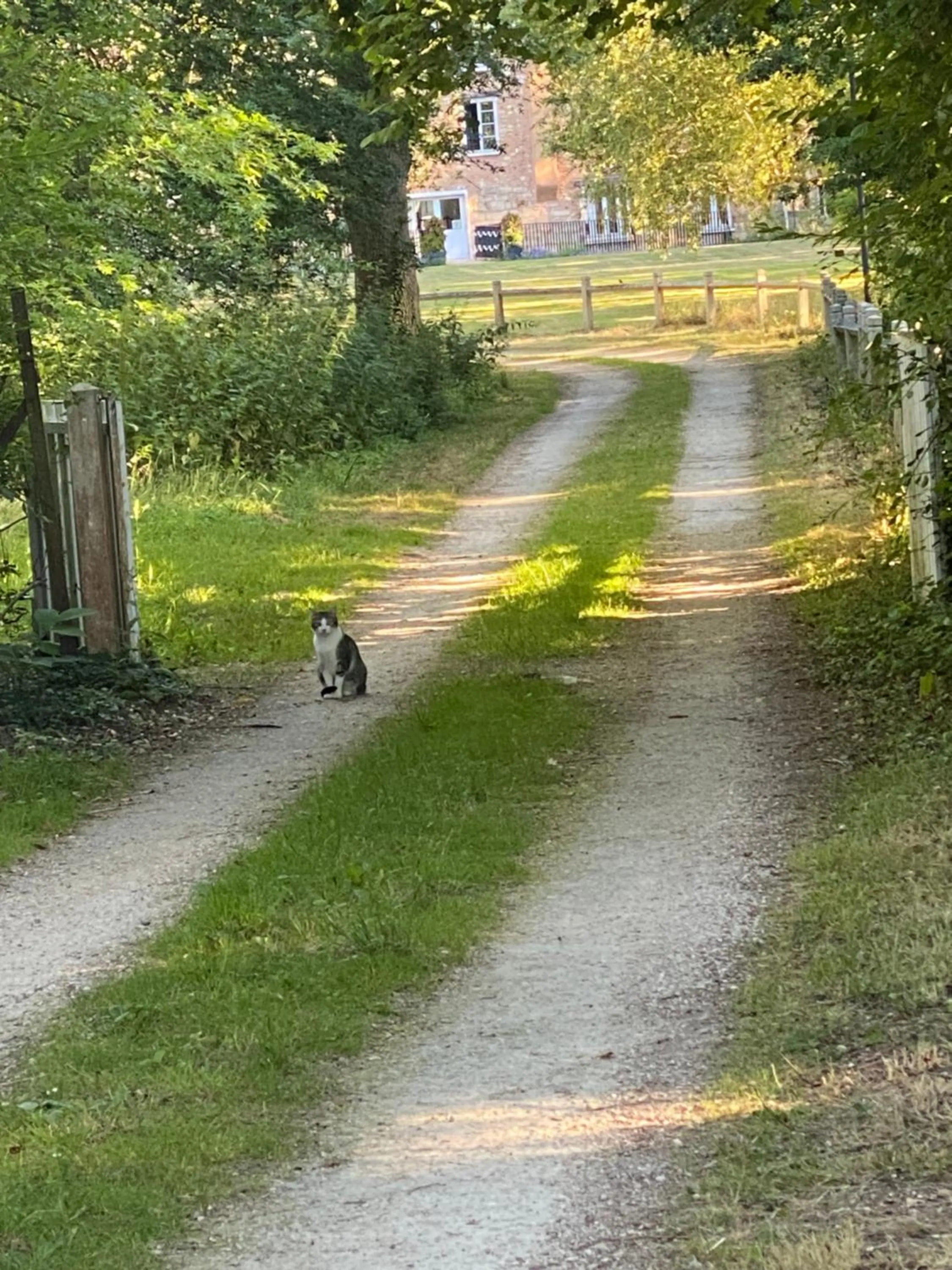 Natural landscape in Le Moulin Bleu