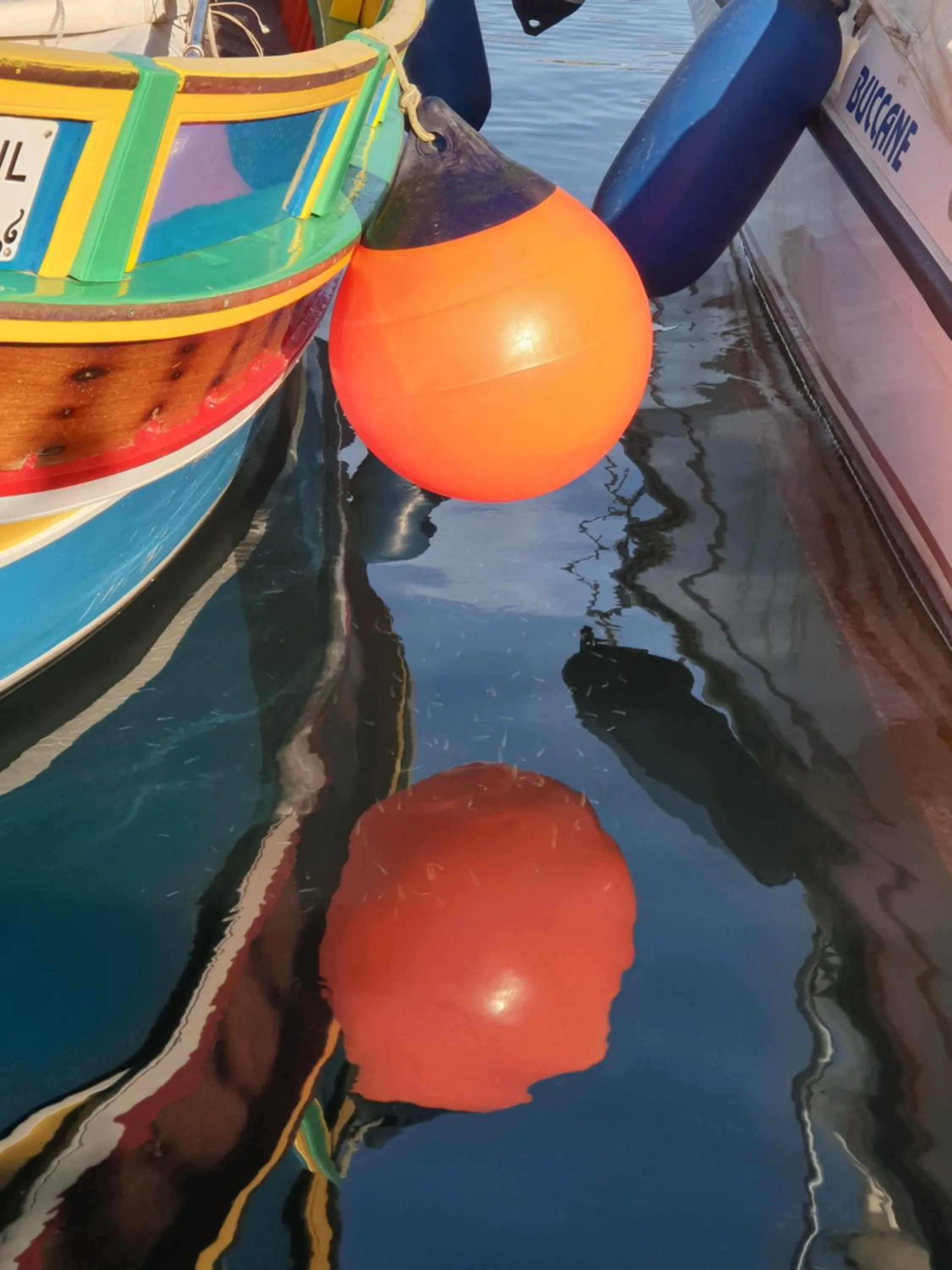 Neighbourhood in The Shipwright's Lodge