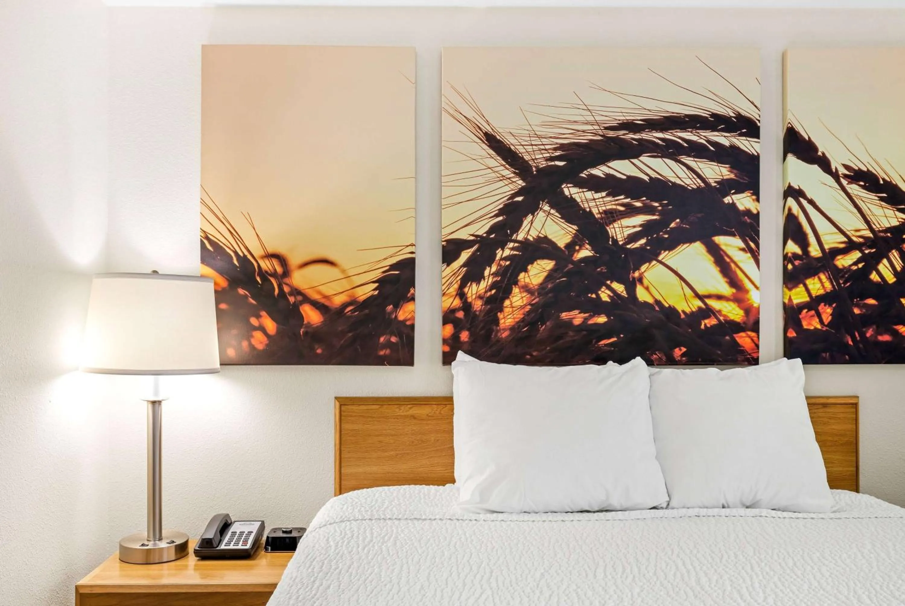 Photo of the whole room, Bed in Days Inn by Wyndham Great Falls