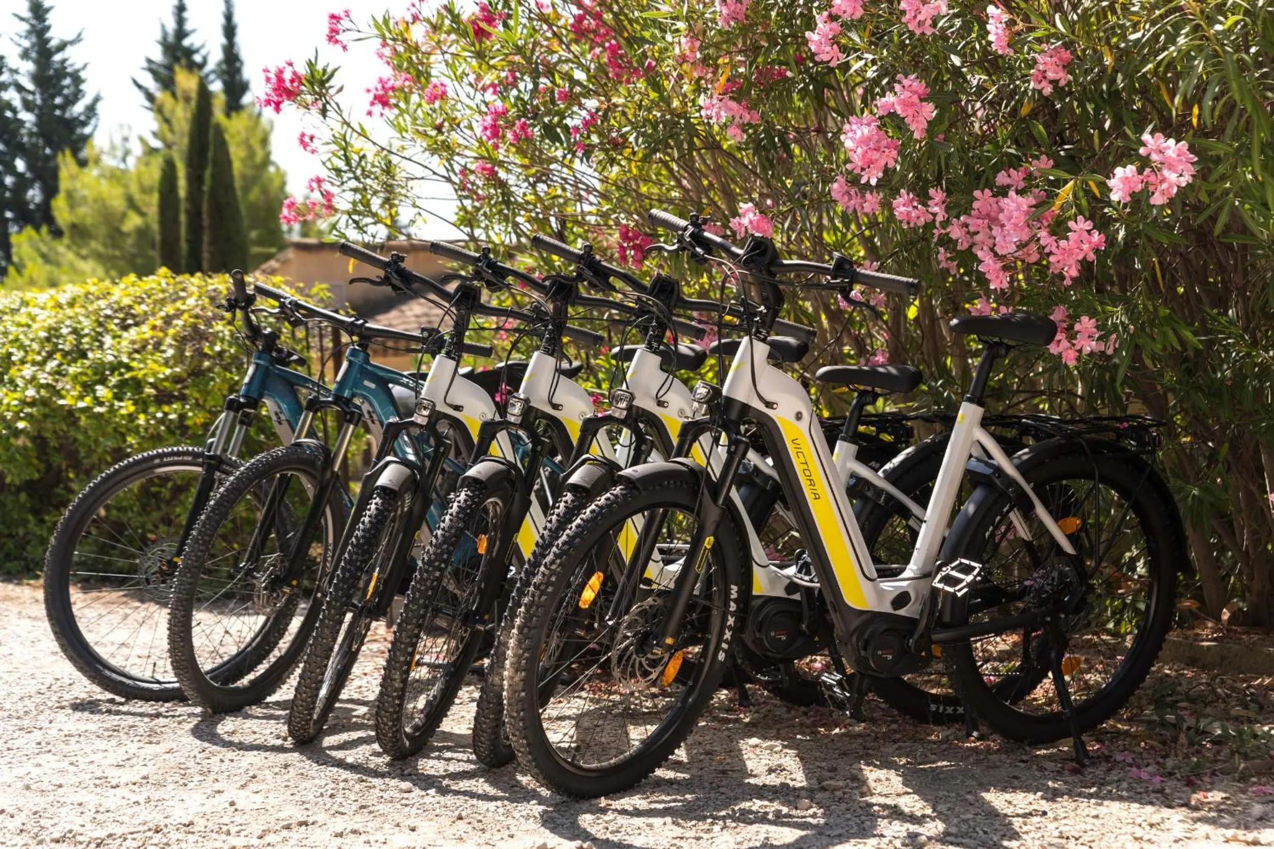 Cycling in Les Petites Maisons - Hameau des Baux
