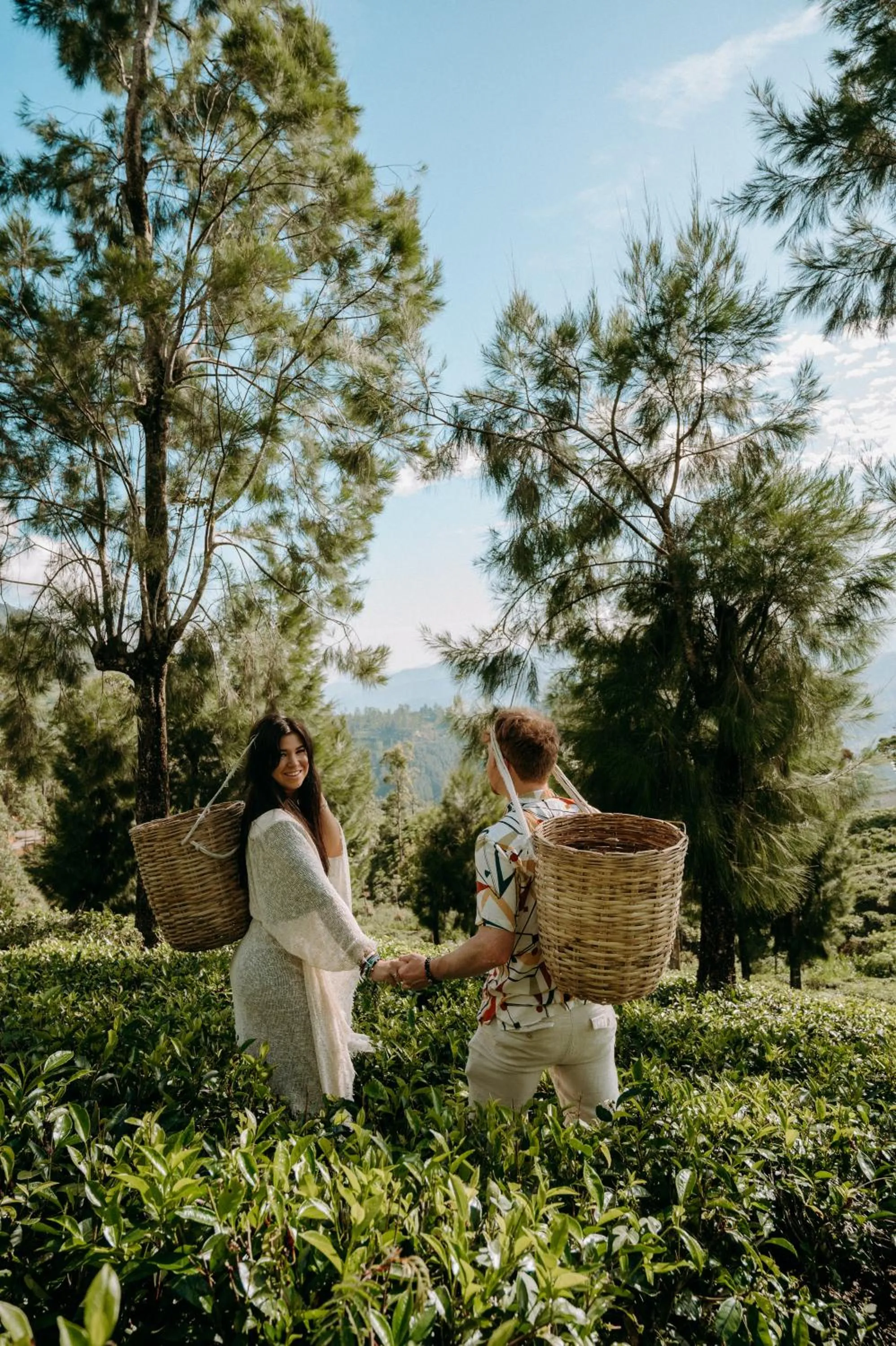 Activities in Tea and Experience Factory - Thema Collection