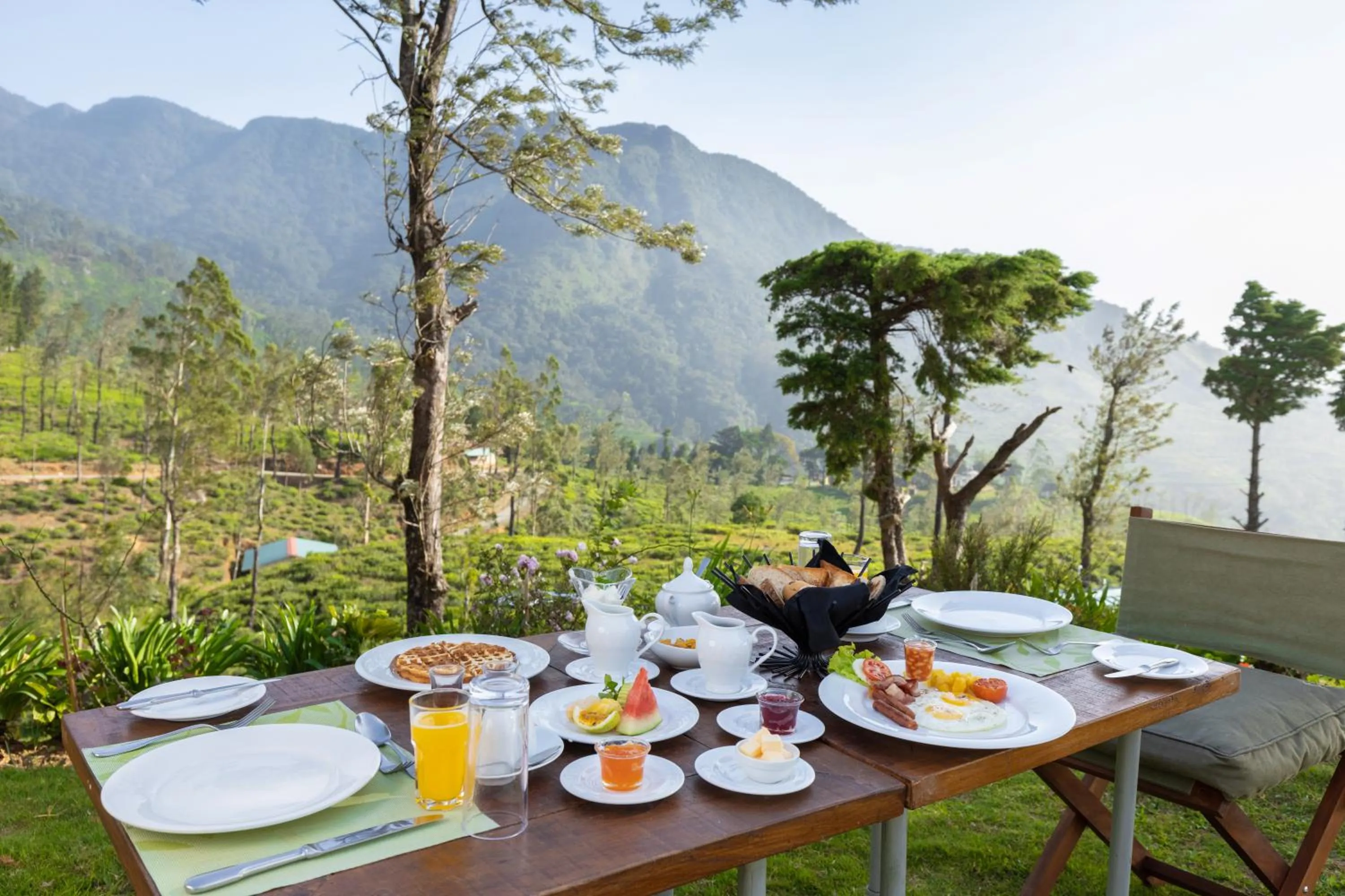 Food and drinks in Tea and Experience Factory - Thema Collection