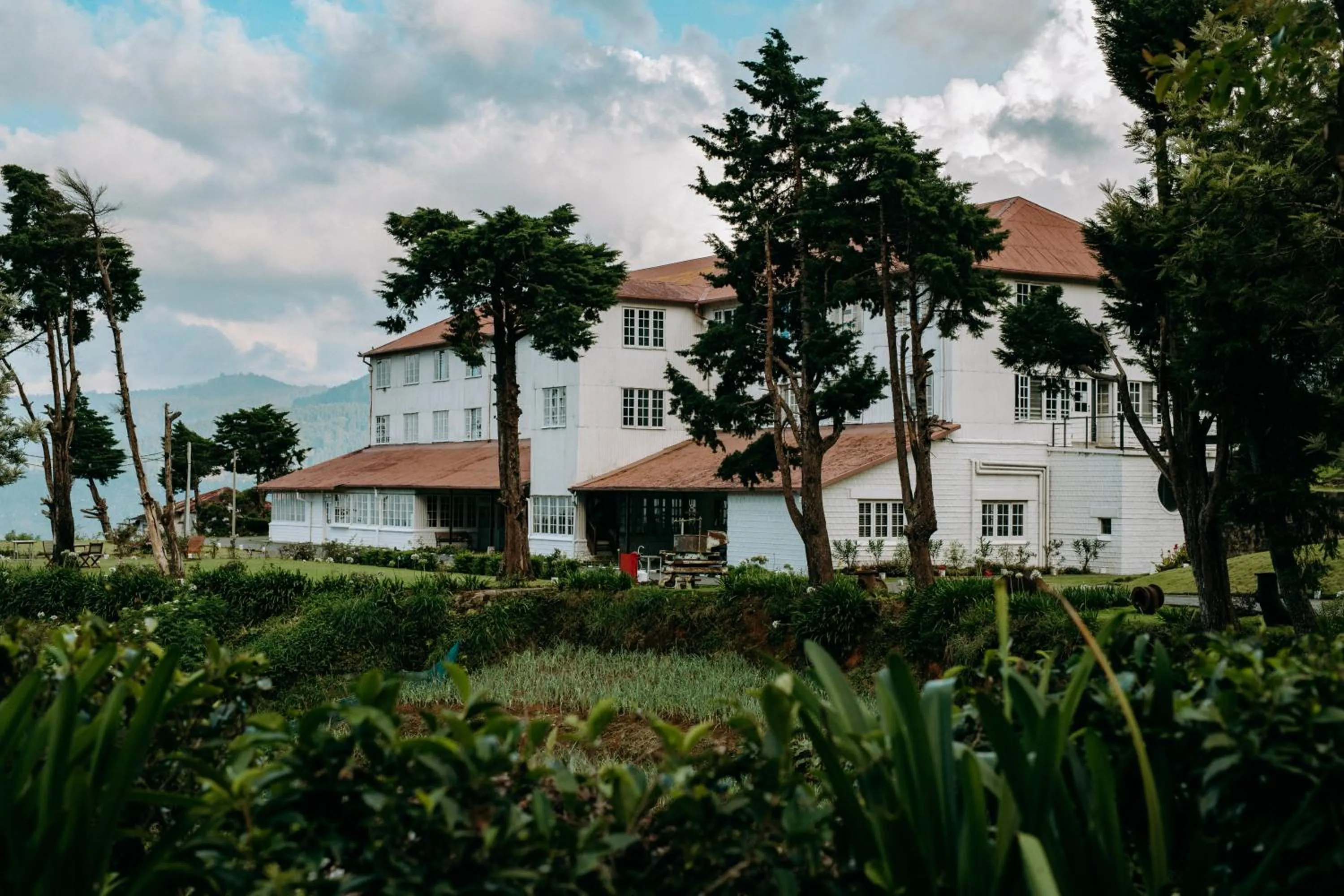 Property building in Tea and Experience Factory - Thema Collection