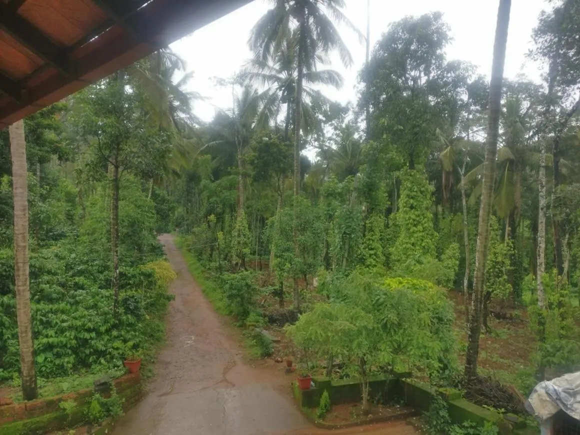 Natural landscape in Leela Farm Stay - Exclusive for Group Stay