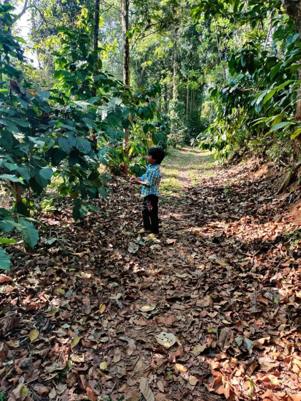 Leela Farm Stay - Exclusive for Group Stay