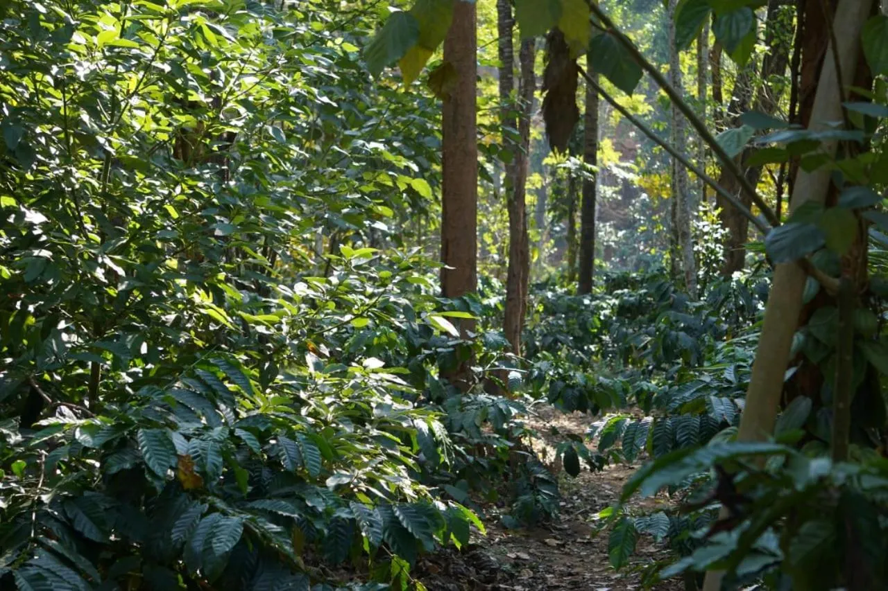 Natural landscape in Leela Farm Stay - Exclusive for Group Stay