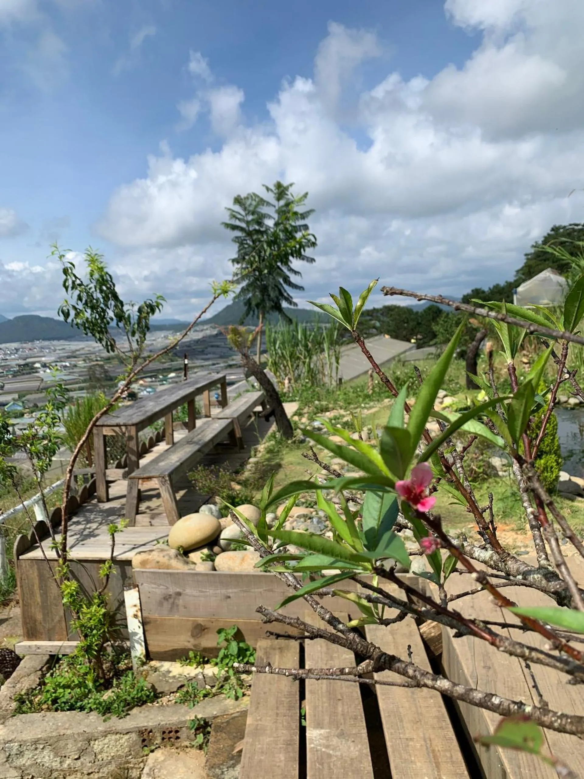 Neighbourhood in New Hampton Suits-Tam Xuan Centre Hotel