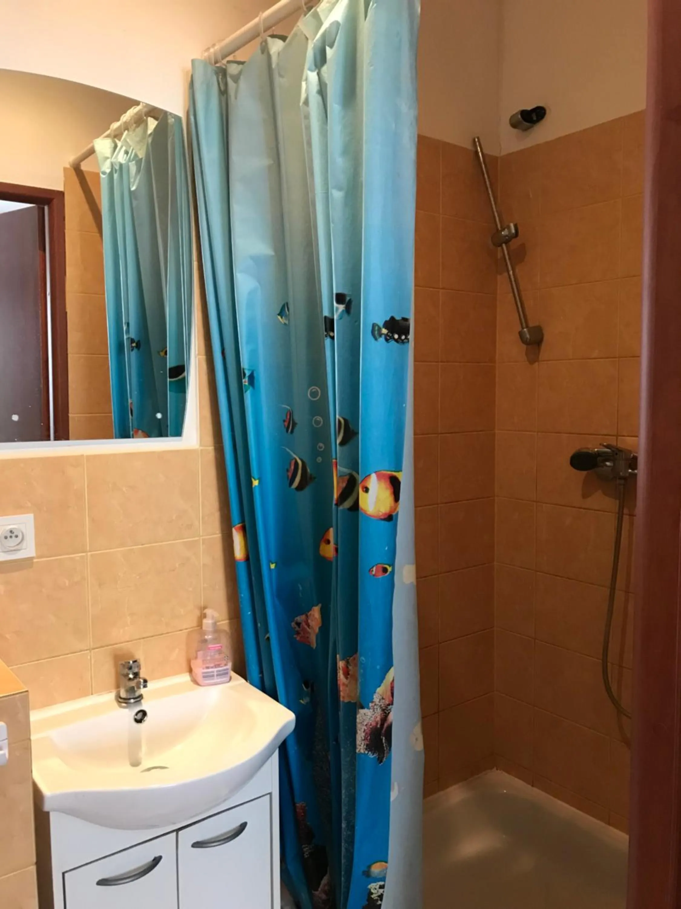 Triple Room - single occupancy in Restauracja Łania