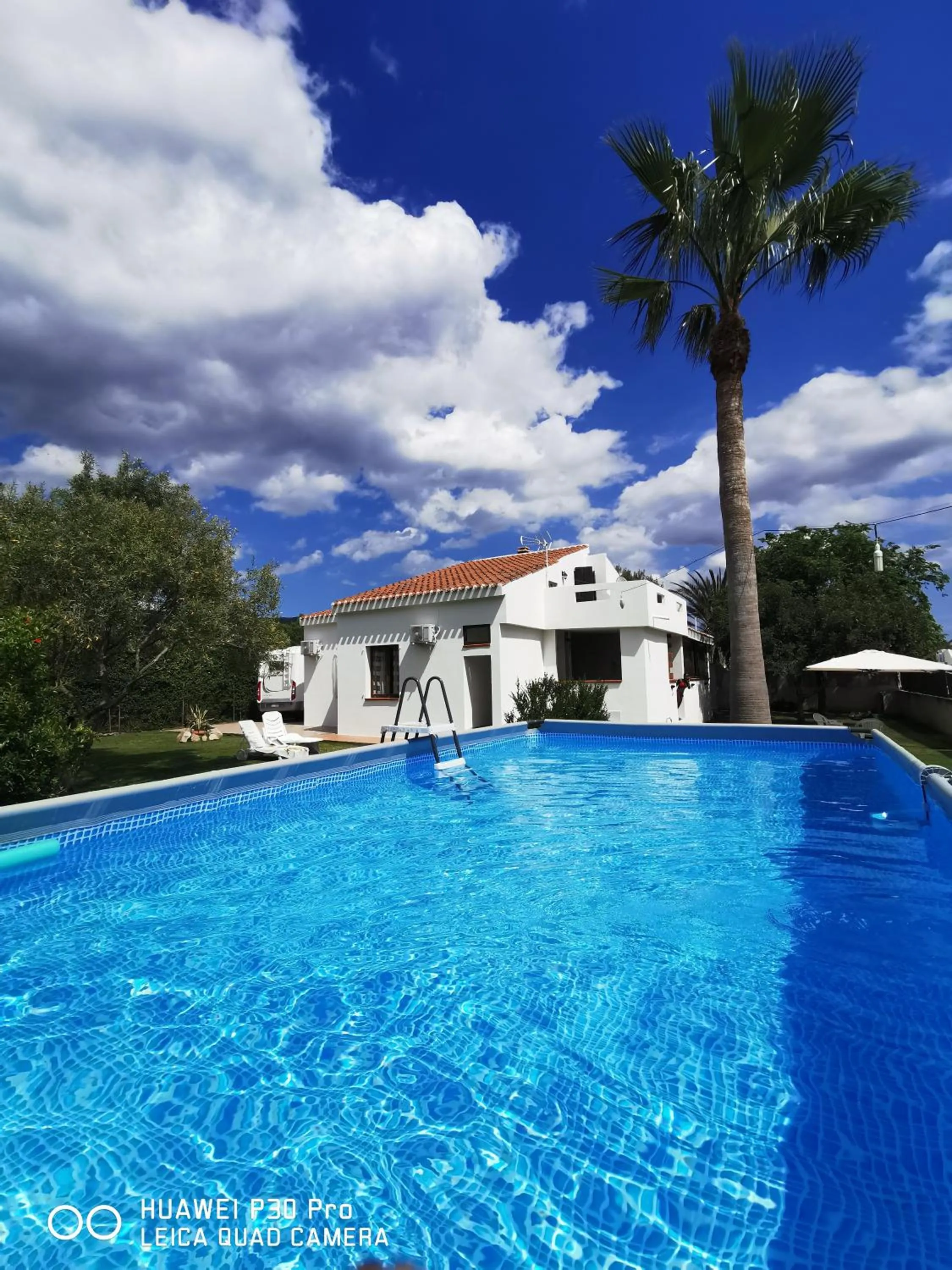 Swimming pool in B&B Il Pasha'