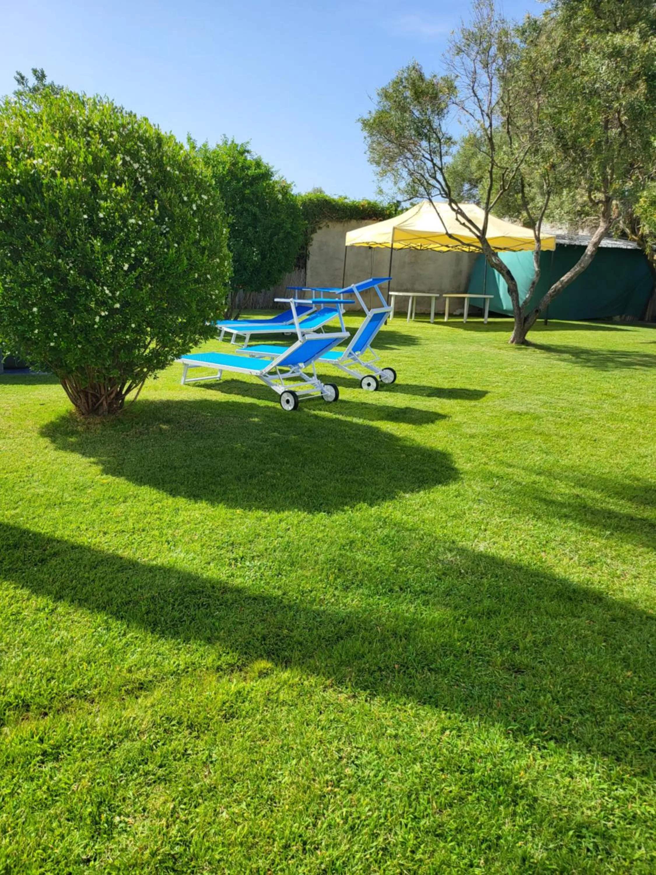 Patio in B&B Il Pasha'