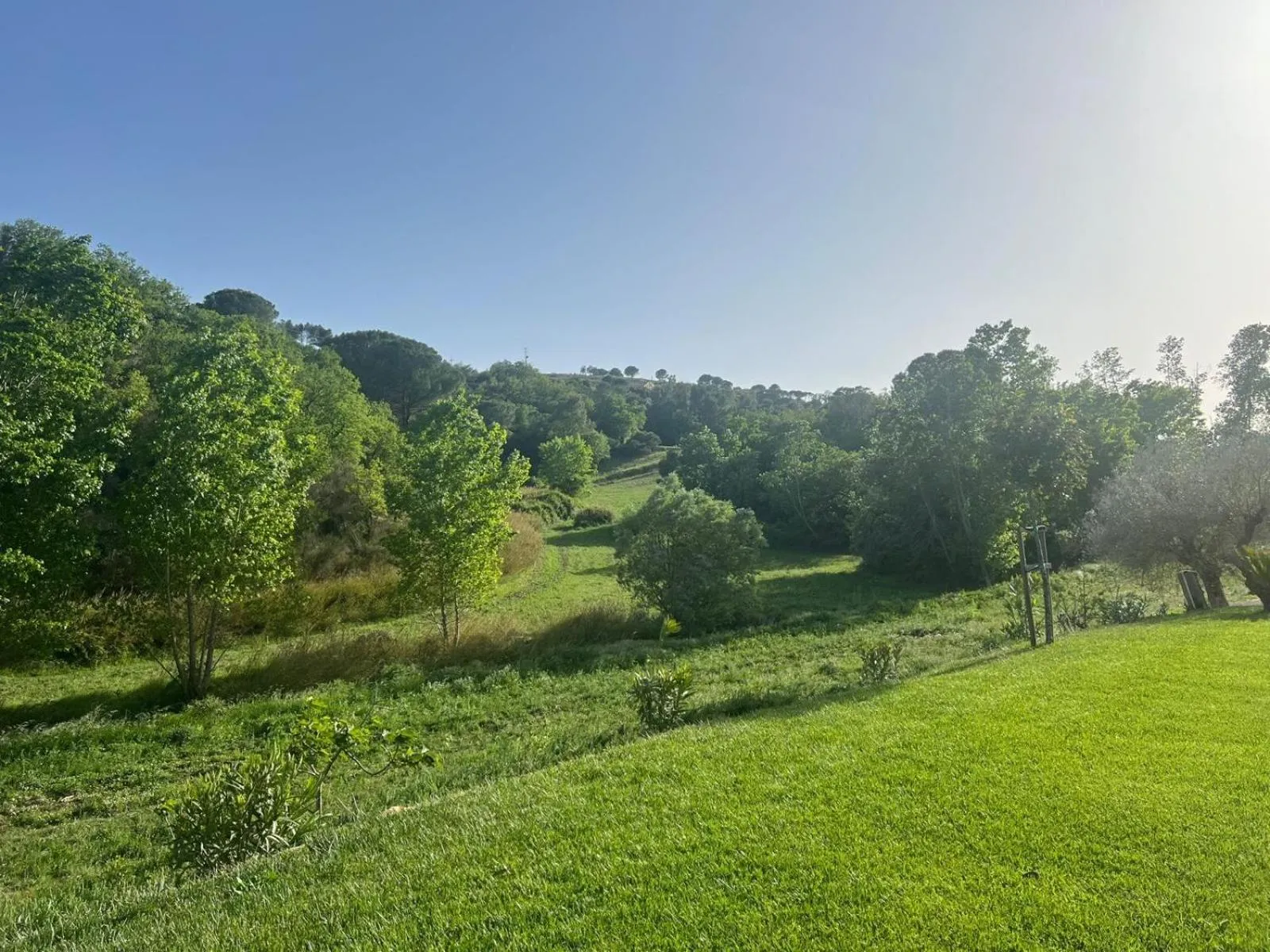 Natural landscape in Agriresort Villa Bentivoglio
