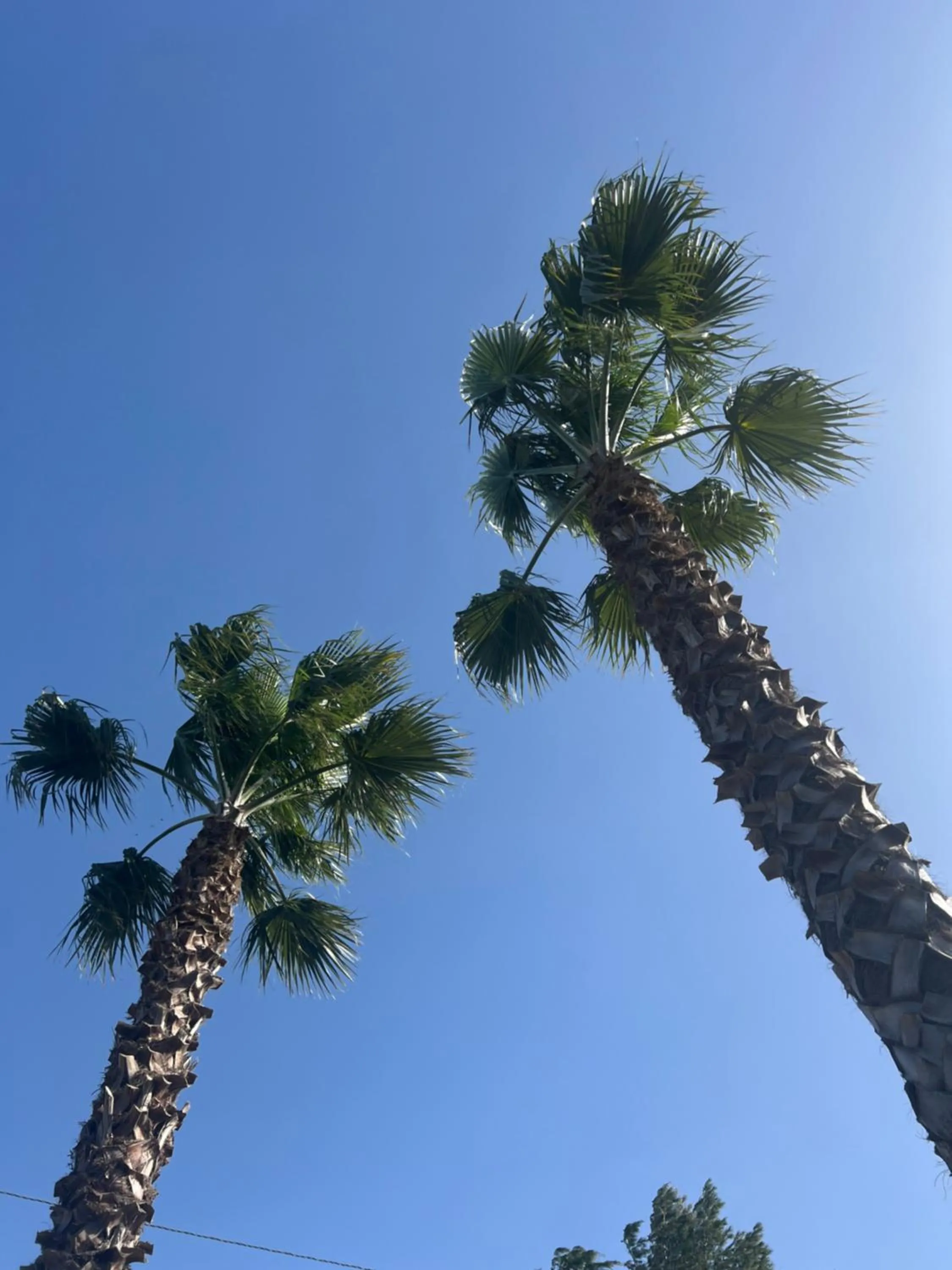 Garden in Agriresort Villa Bentivoglio