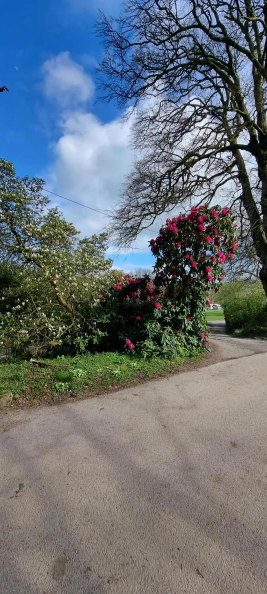 Property building in Great Trethew Hotel - Self Catering Lodges - Bar & Restaurant