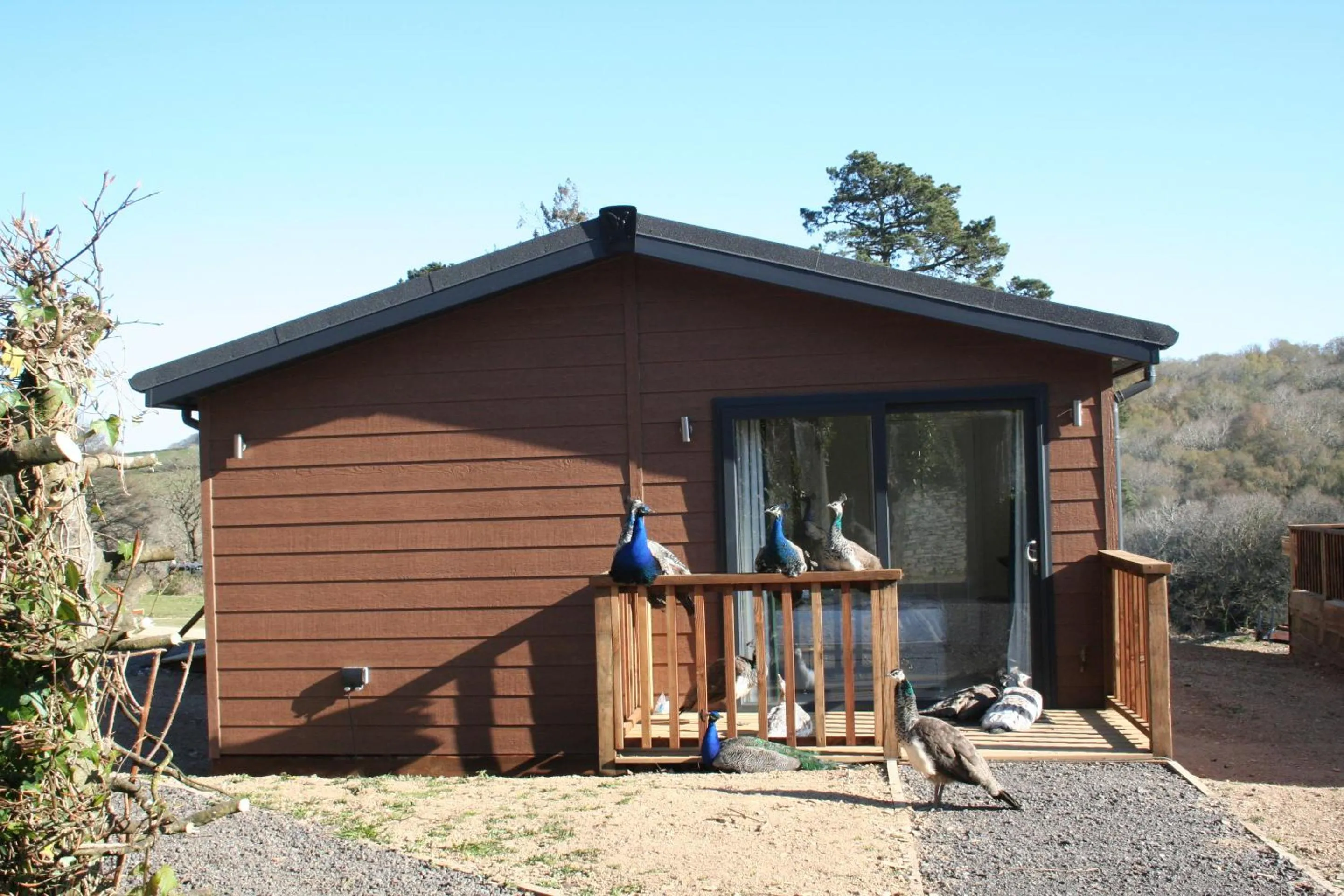 Other in Great Trethew Hotel - Self Catering Lodges - Bar & Restaurant