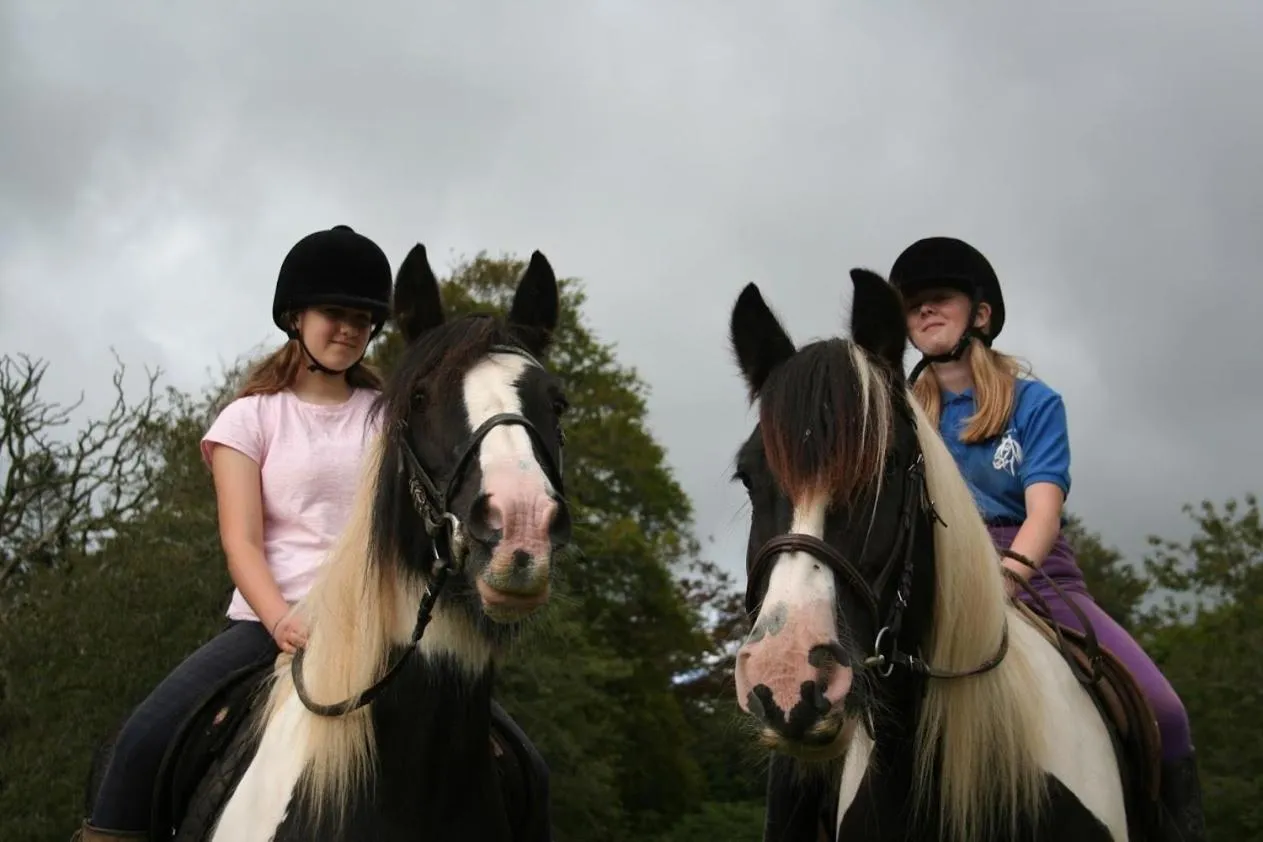 Other in Great Trethew Hotel - Self Catering Lodges - Bar & Restaurant