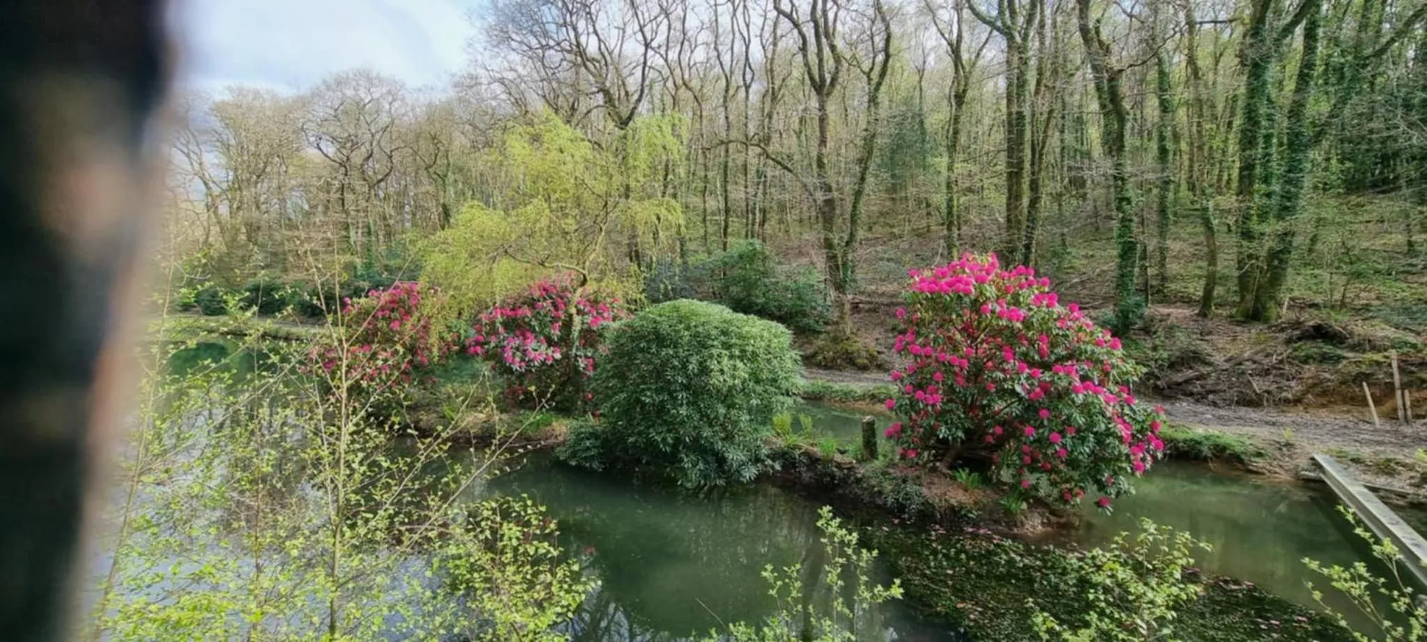 Property building in Great Trethew Hotel - Self Catering Lodges - Bar & Restaurant