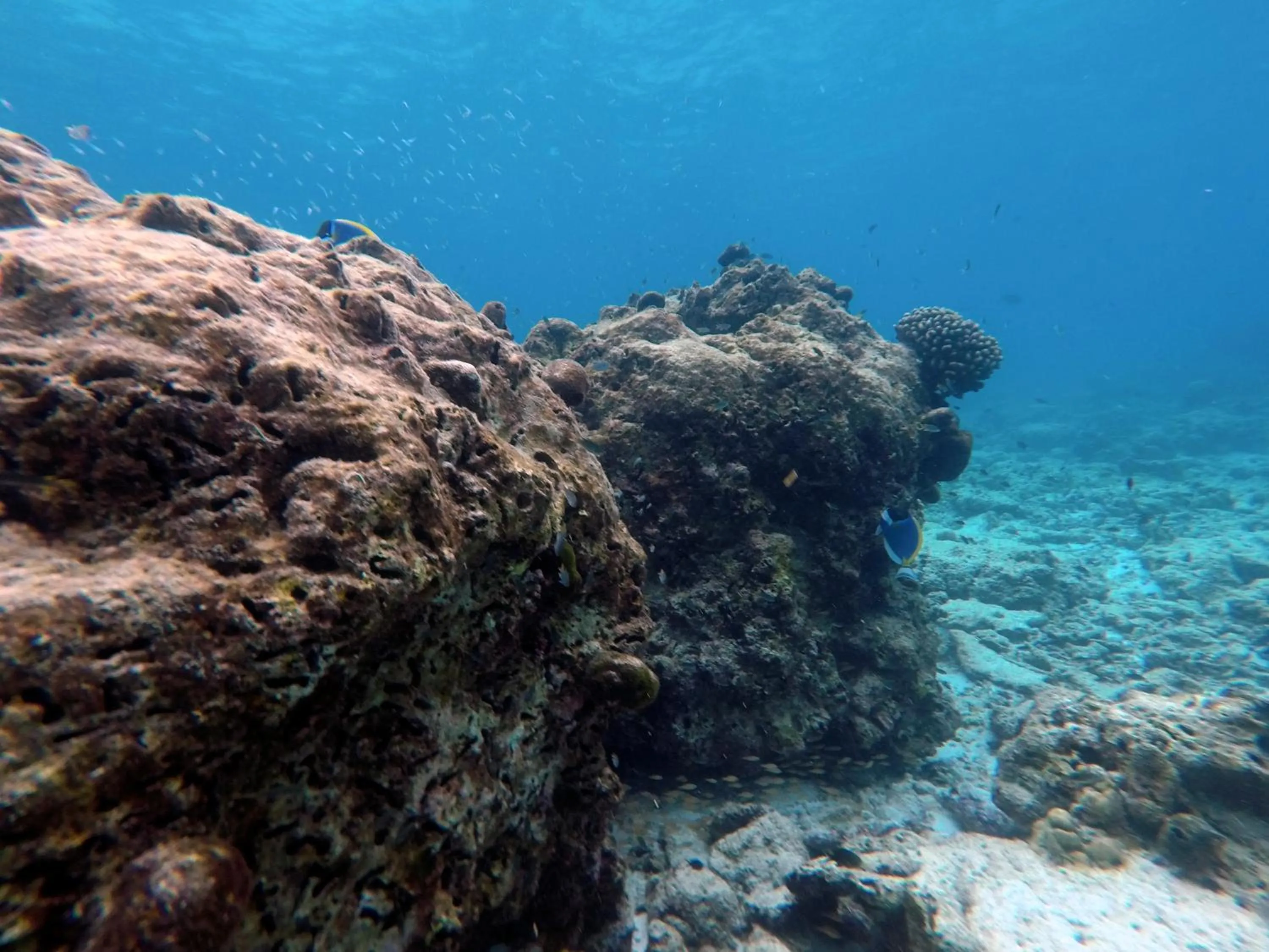 Activities in Moodhumaa Inn