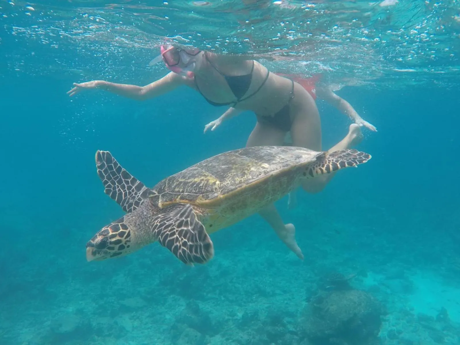 People in Moodhumaa Inn