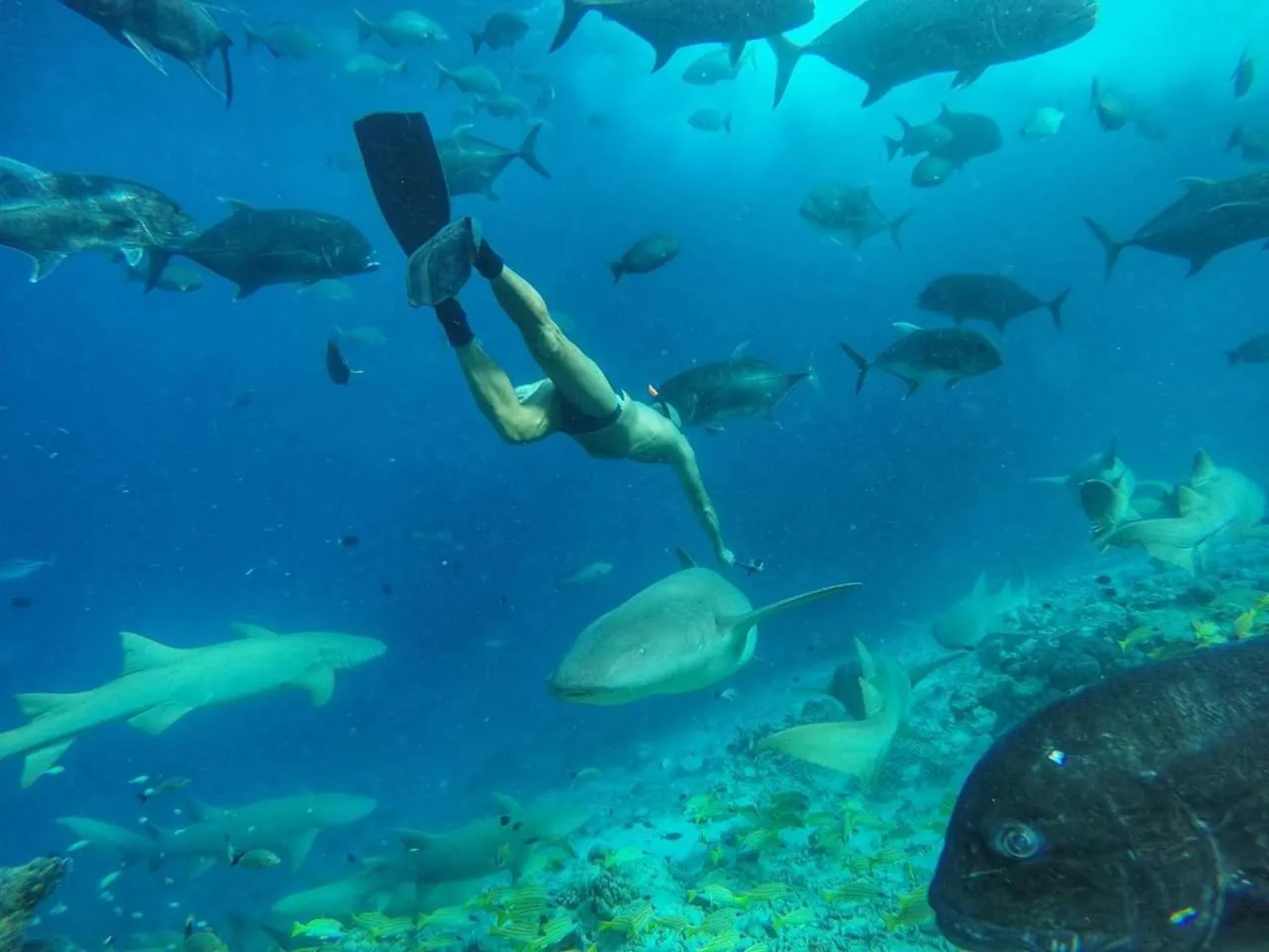 Snorkeling in Moodhumaa Inn