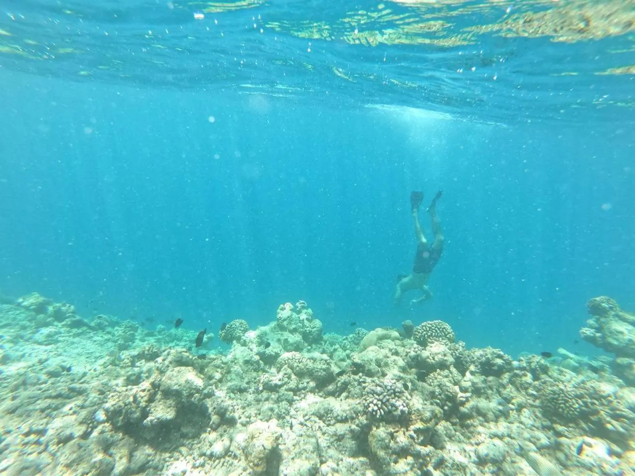 Snorkeling in Moodhumaa Inn