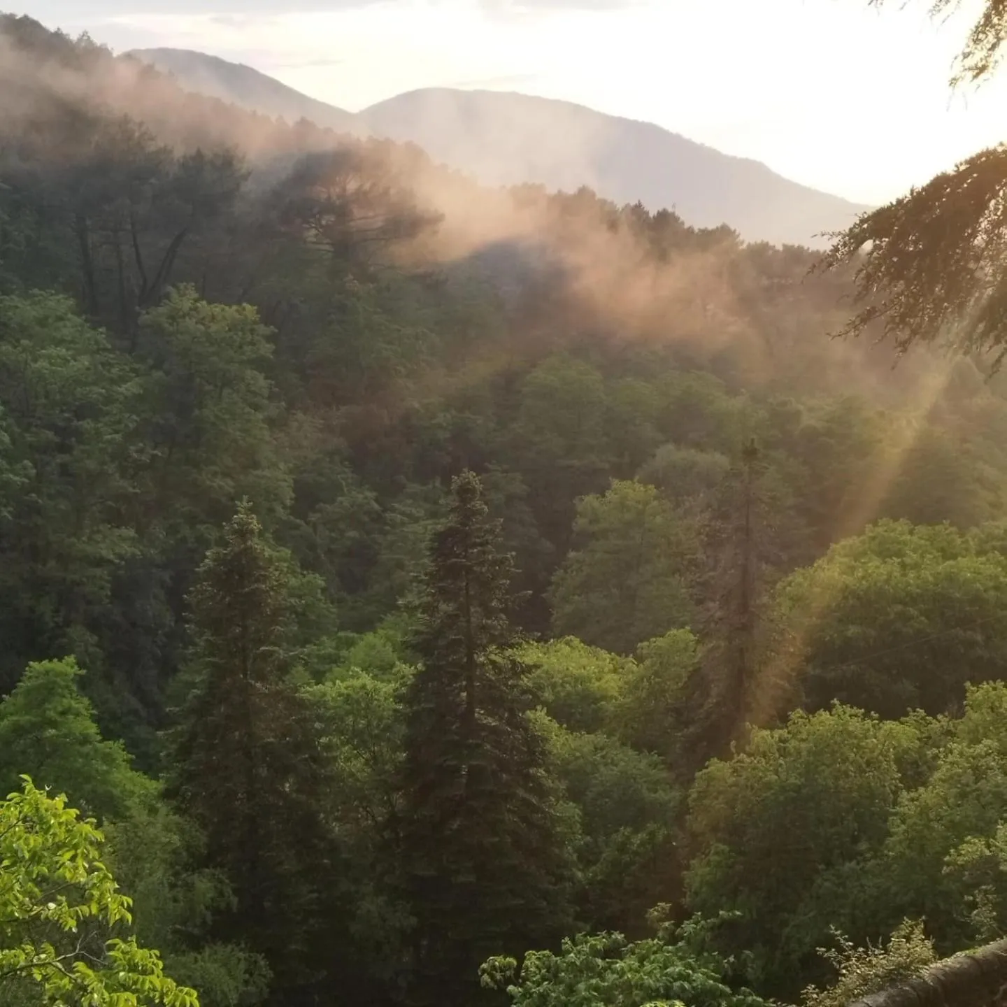 View (from property/room) in Le Mas Fraissinet