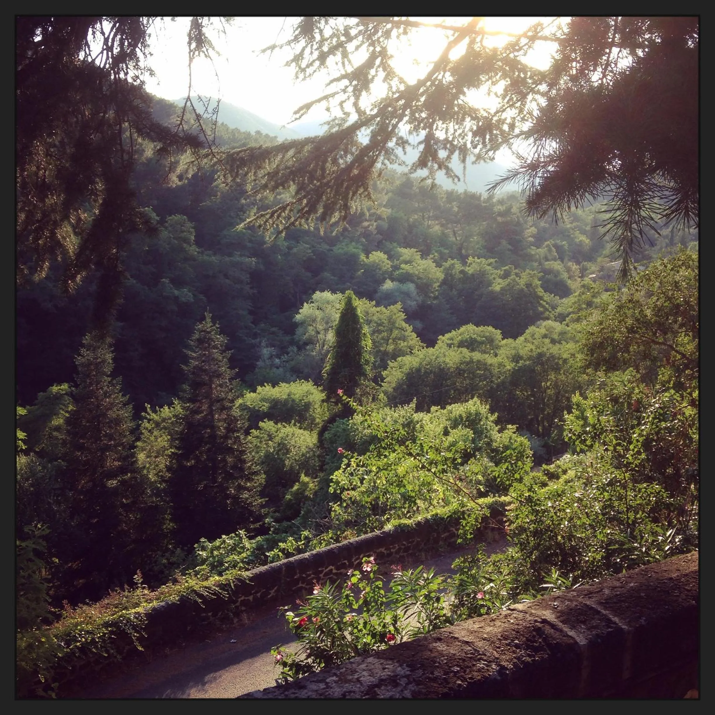 Patio in Le Mas Fraissinet