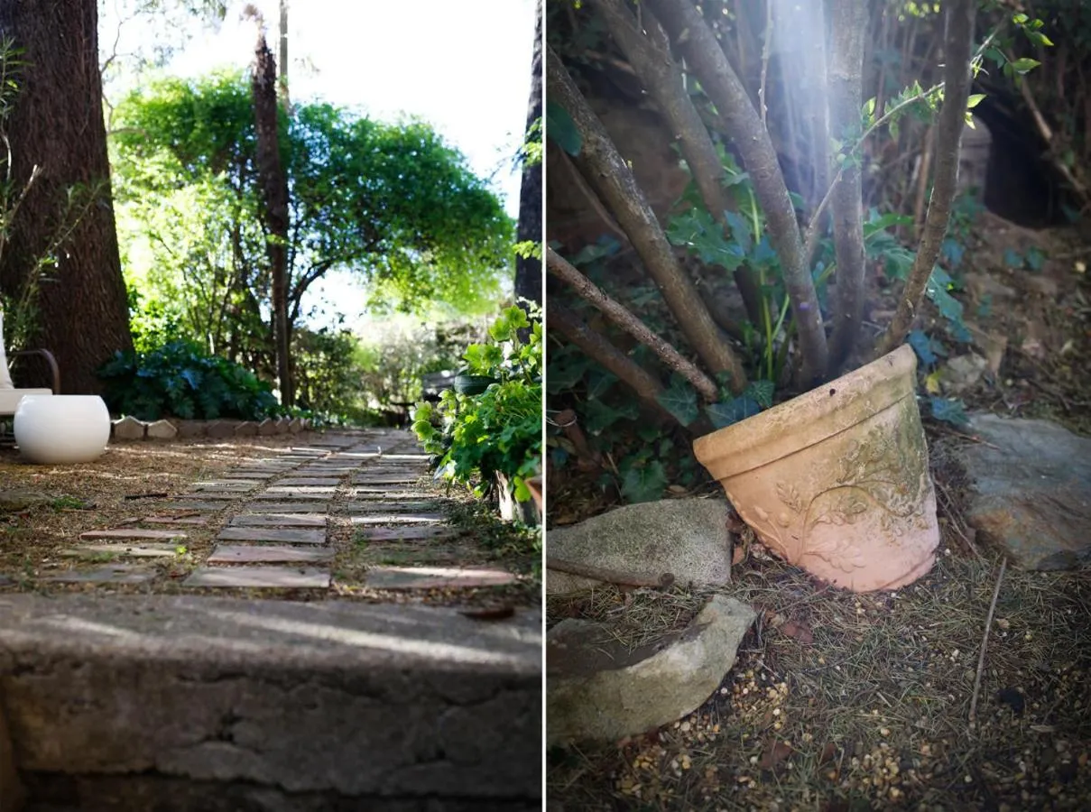 Garden in Le Mas Fraissinet