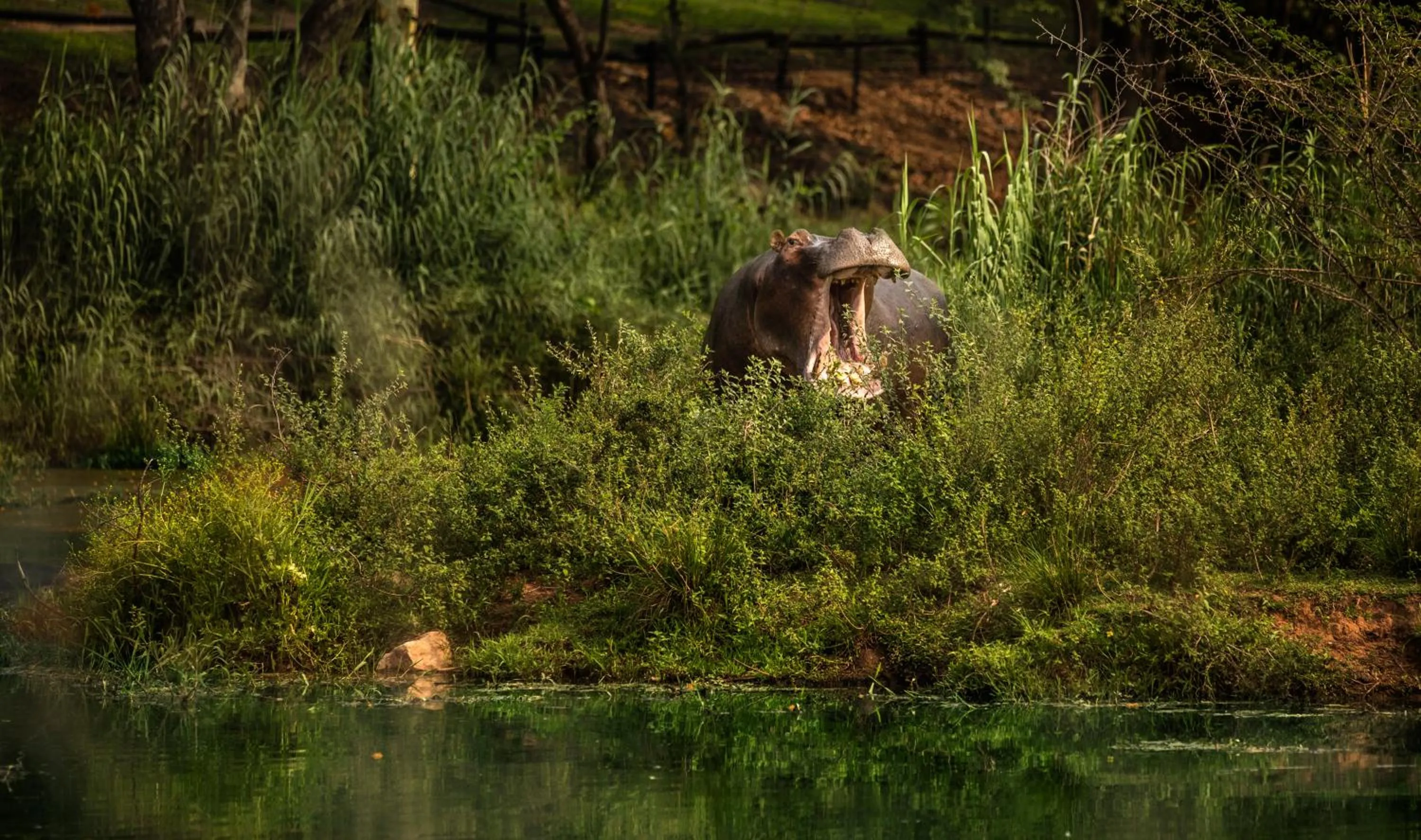 Sabi River Sun Resort