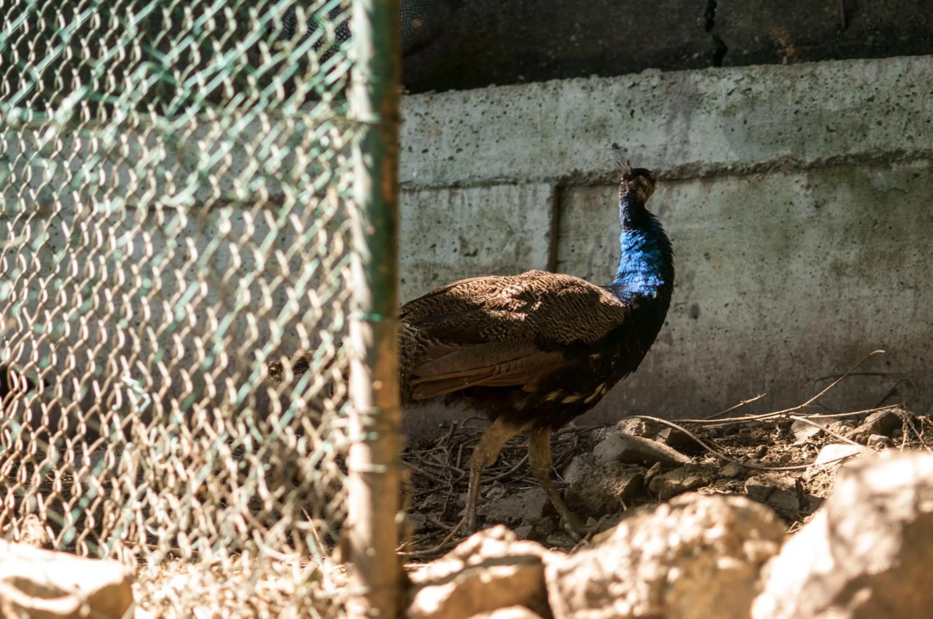 B&B Botton d'Oro Valle Imagna