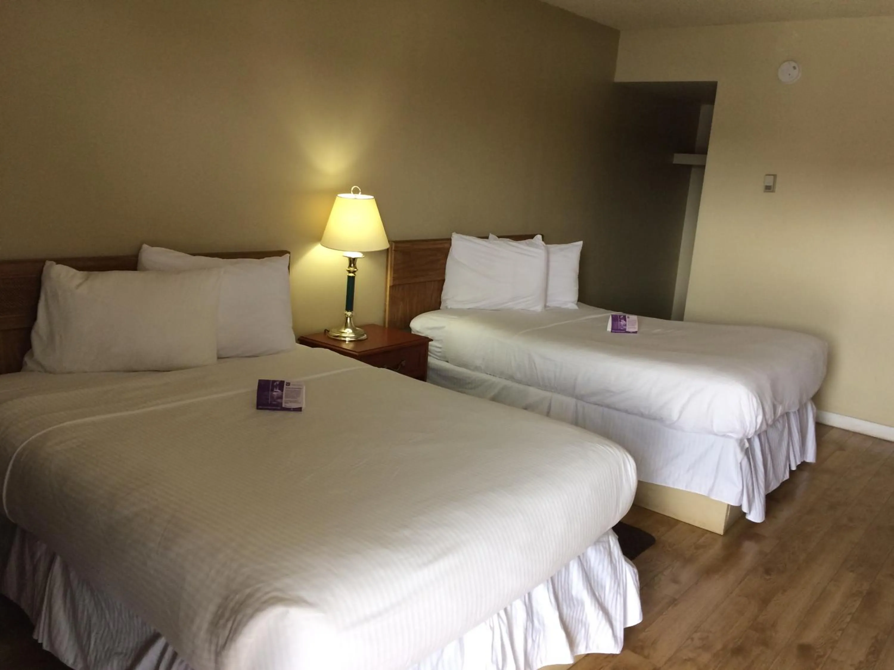 Bed in Nice Inn Edmonton