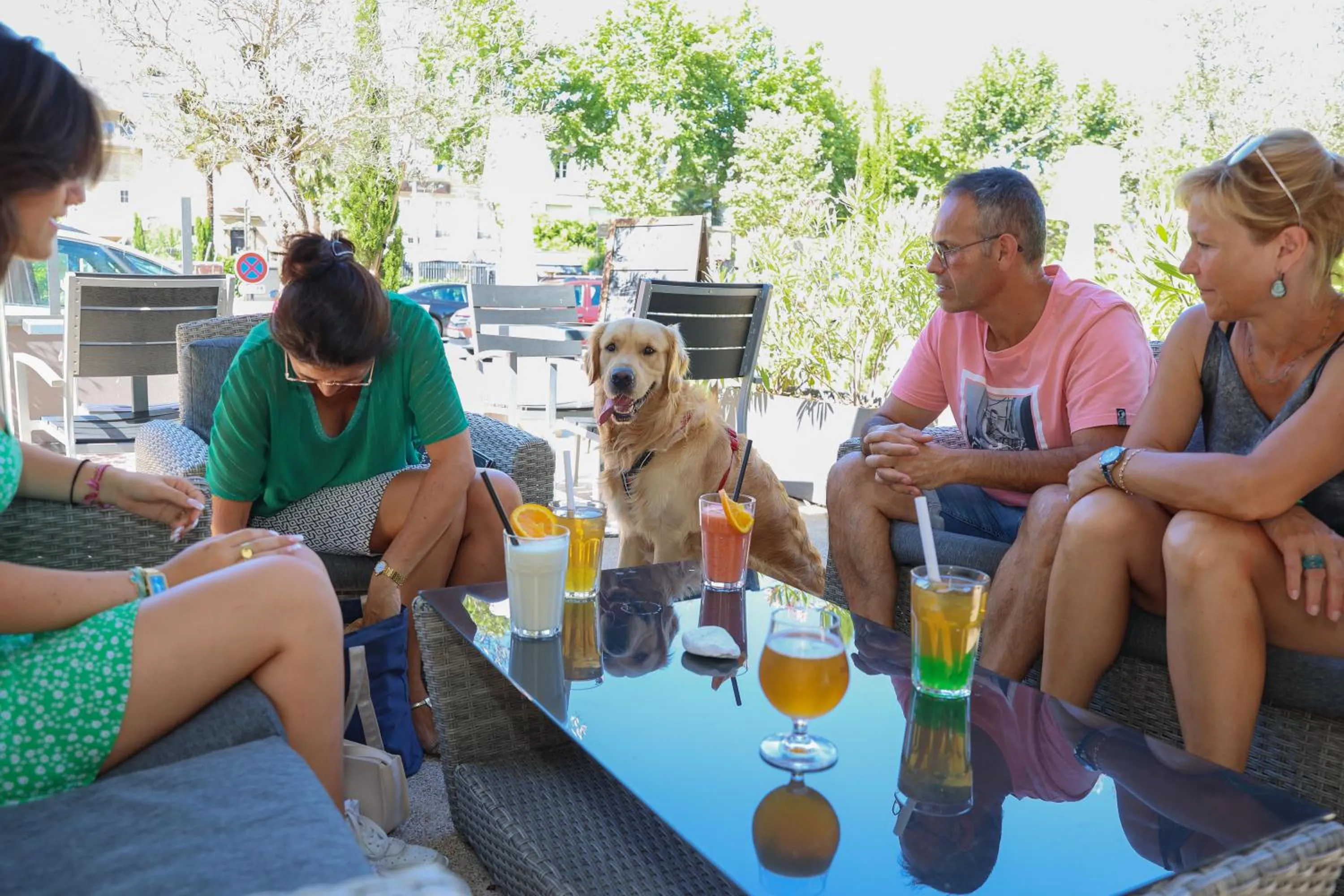 Pets in Hôtel La Réserve de Brive