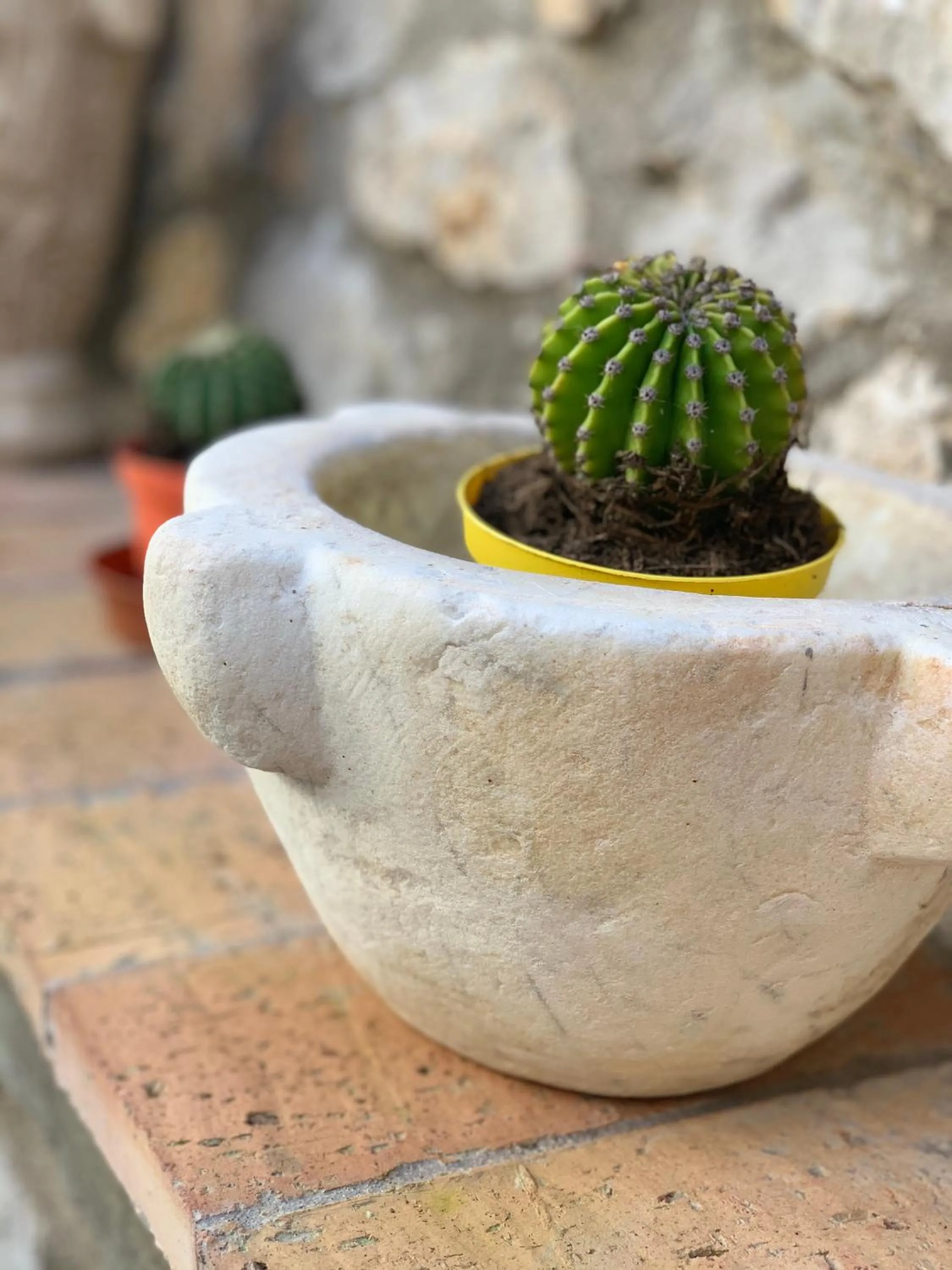 Balcony/Terrace in Hedera Capri B&B
