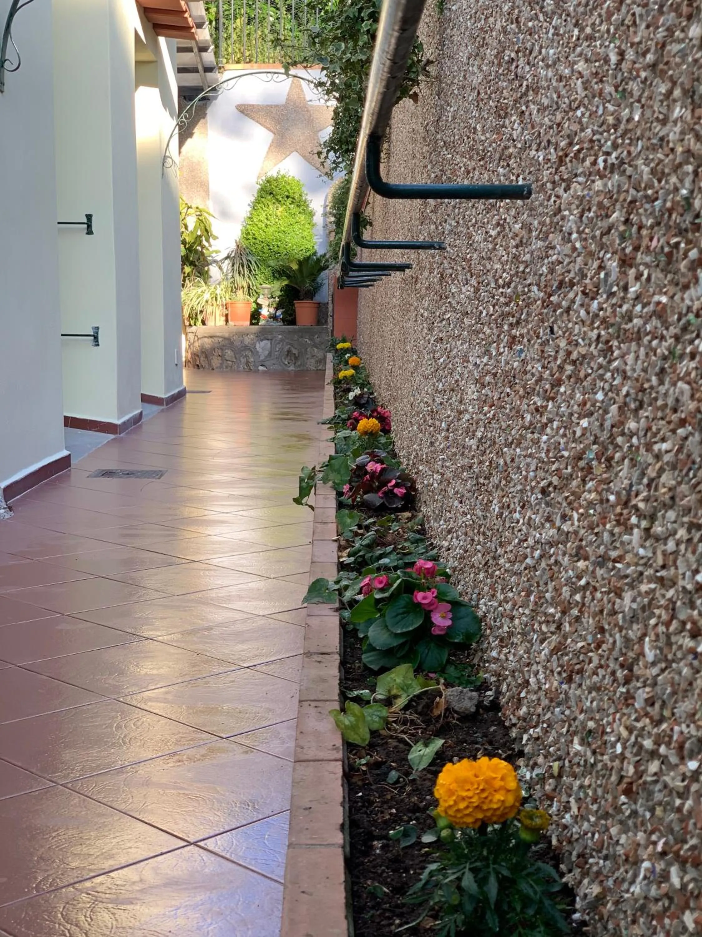 Hedera Capri B&B