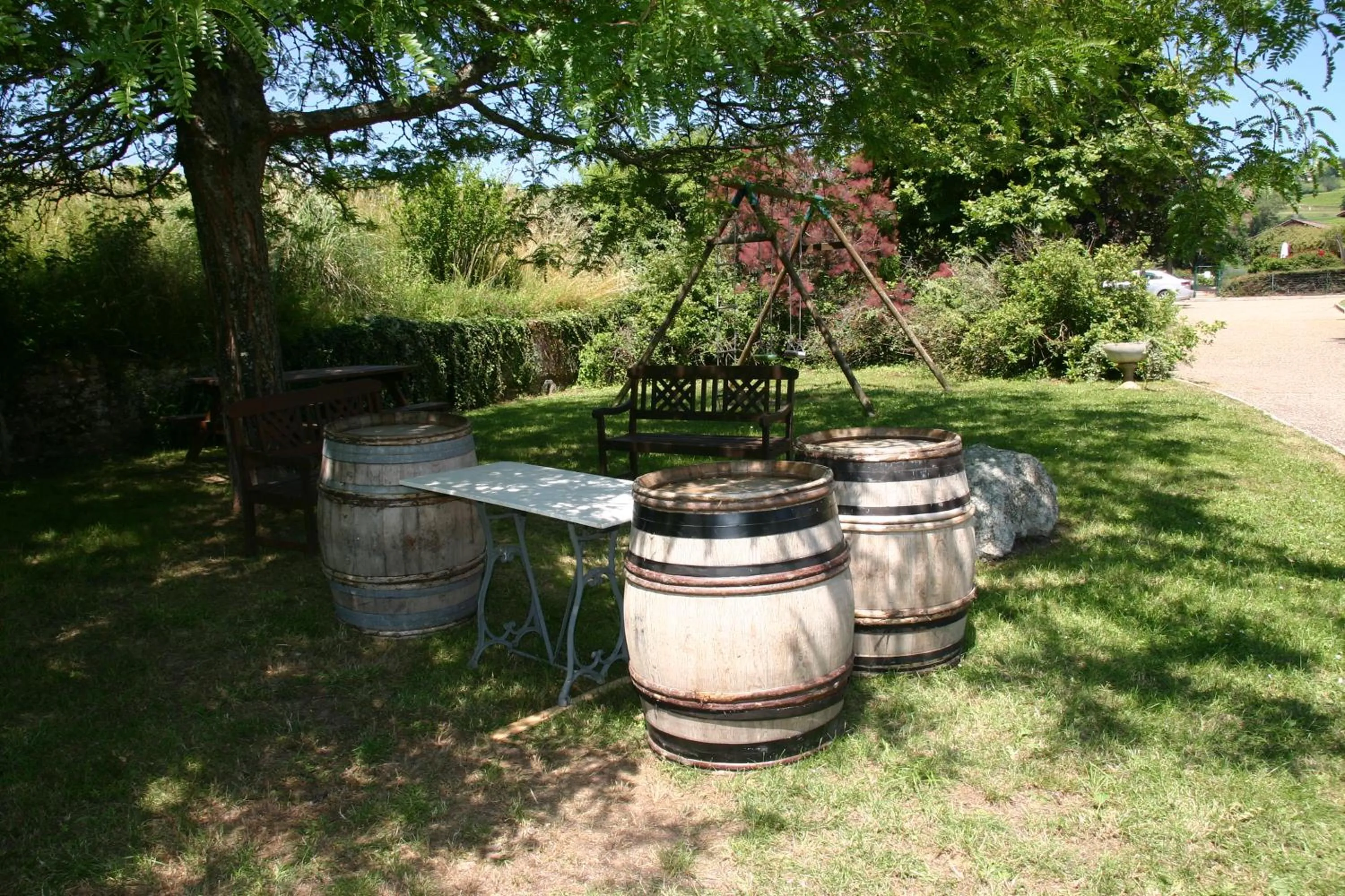 Garden in Hôtel des Vignes - Juliénas
