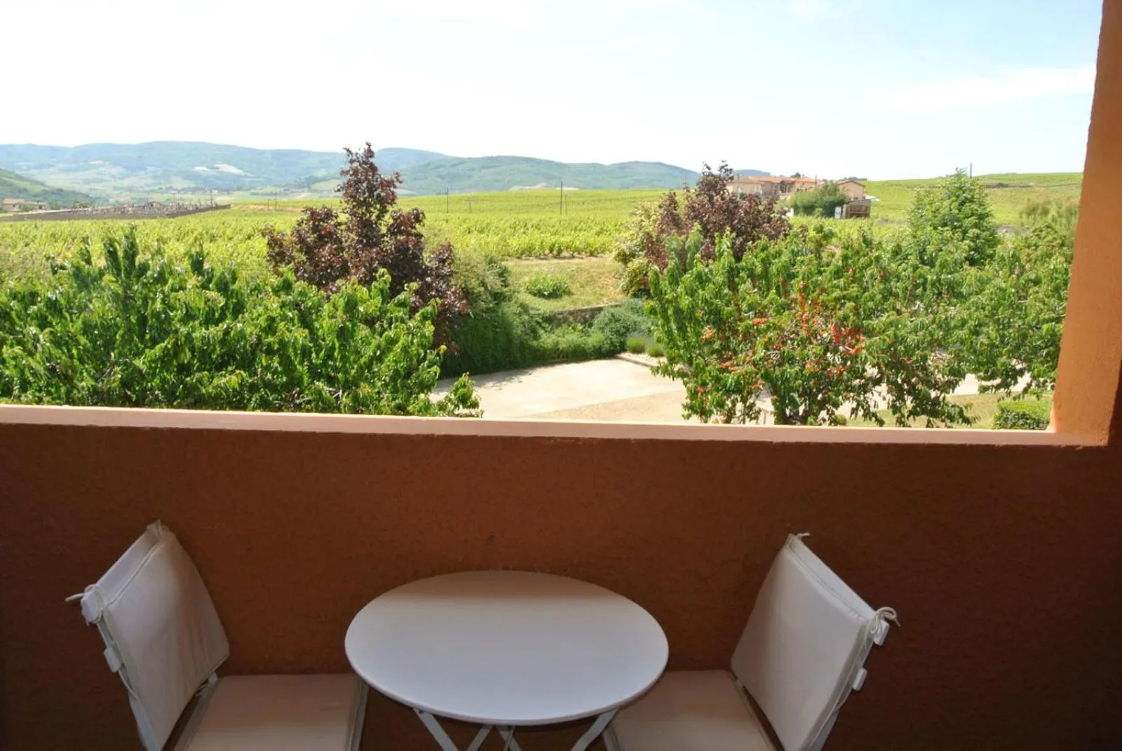 Garden view in Hôtel des Vignes - Juliénas