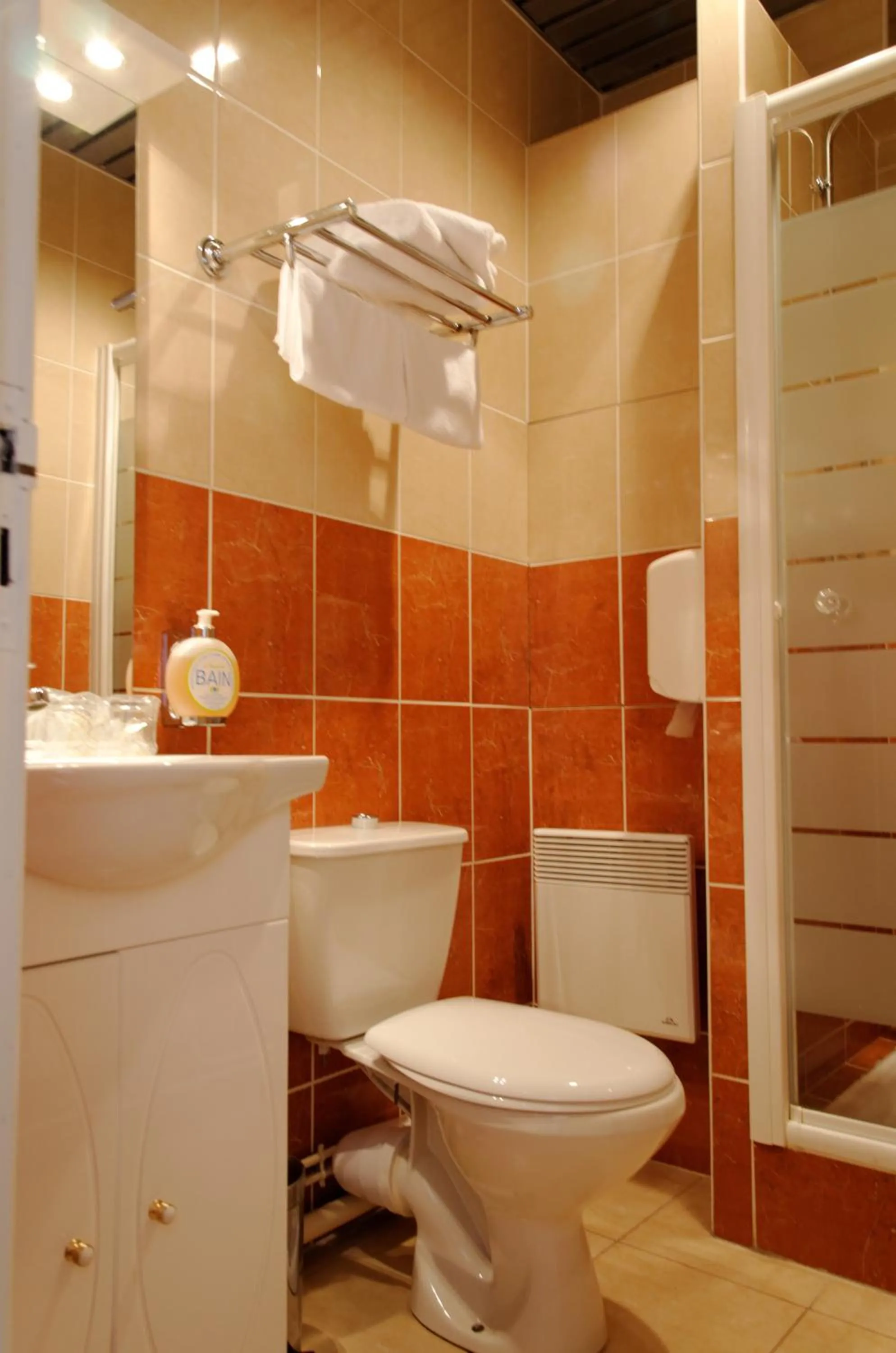 Bathroom in Hotel Regina & Spa