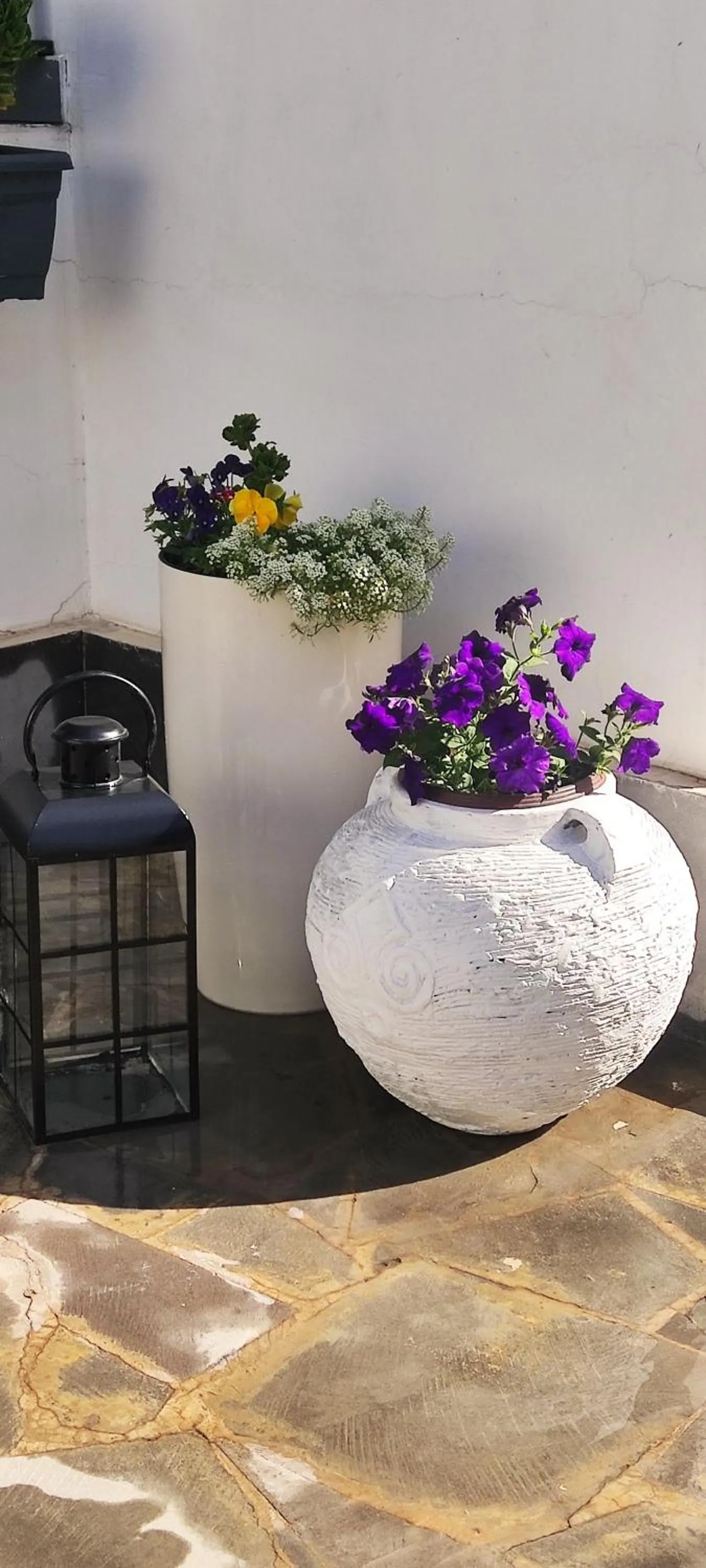 Seating area in Garden Lounge Hotel