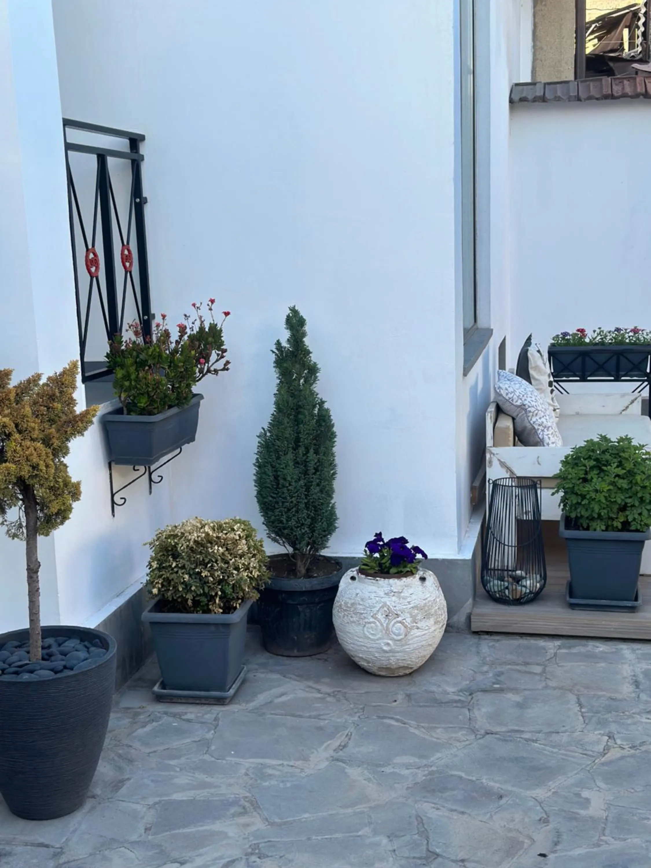 Day in Garden Lounge Hotel