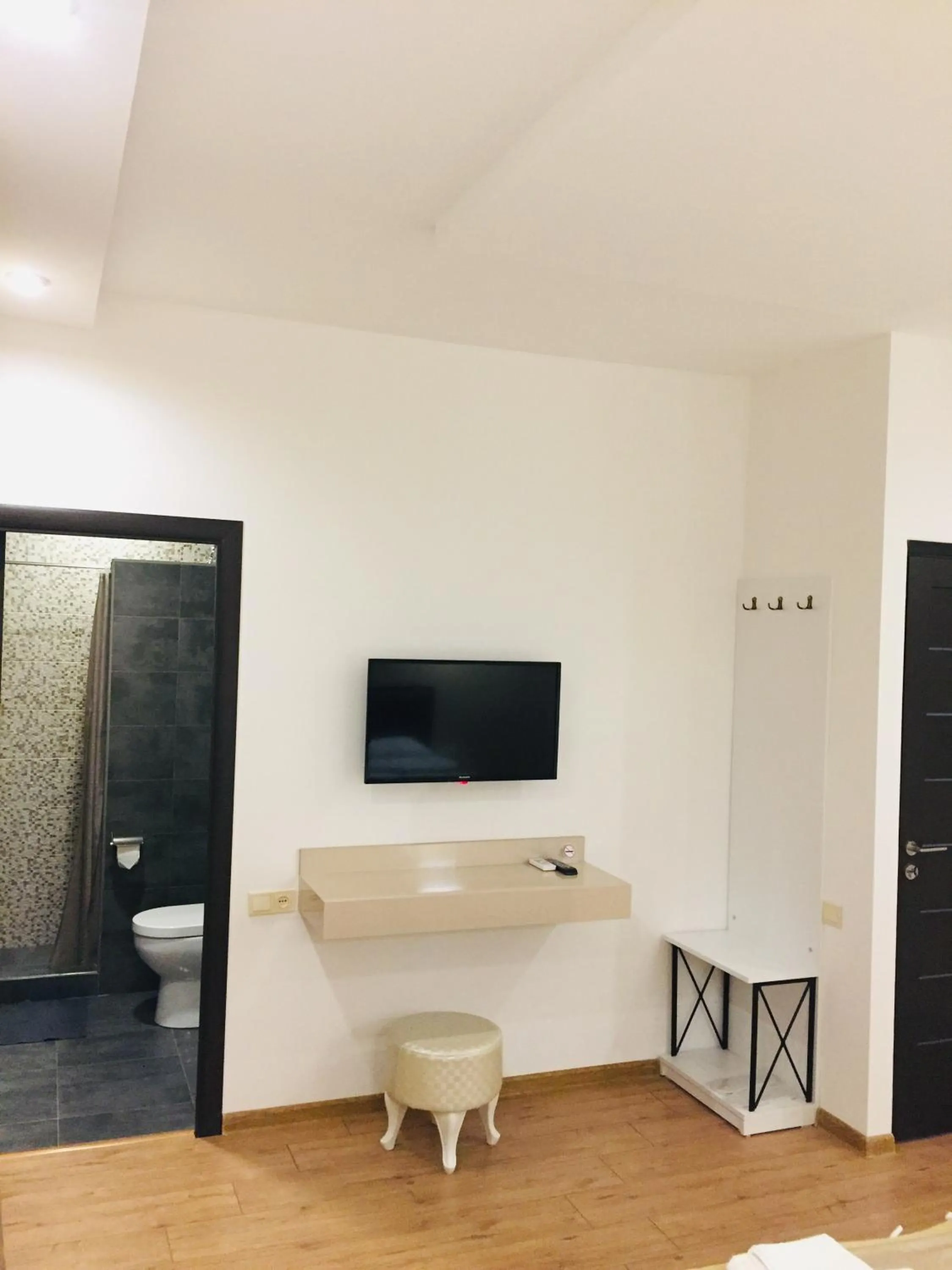 TV and multimedia in Garden Lounge Hotel