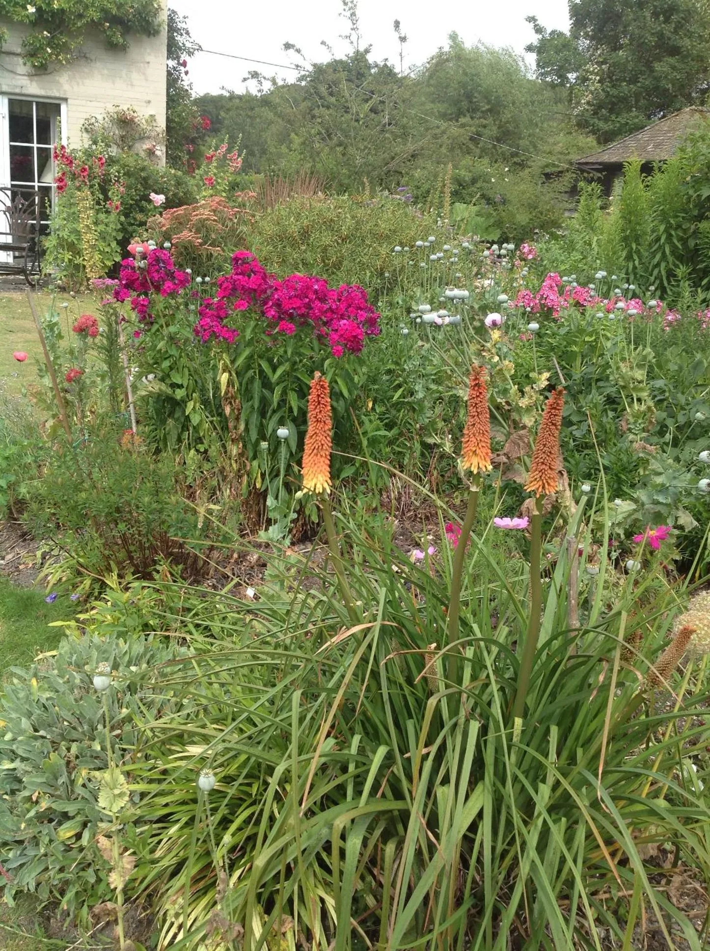 Garden view in The Mill House